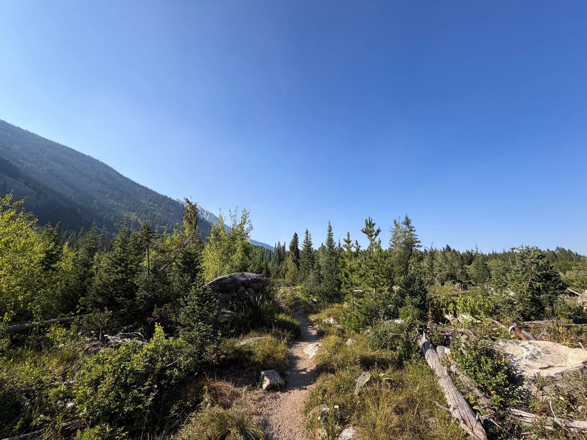 Moose Ponds Trail Grand Teton National Park Wyoming
