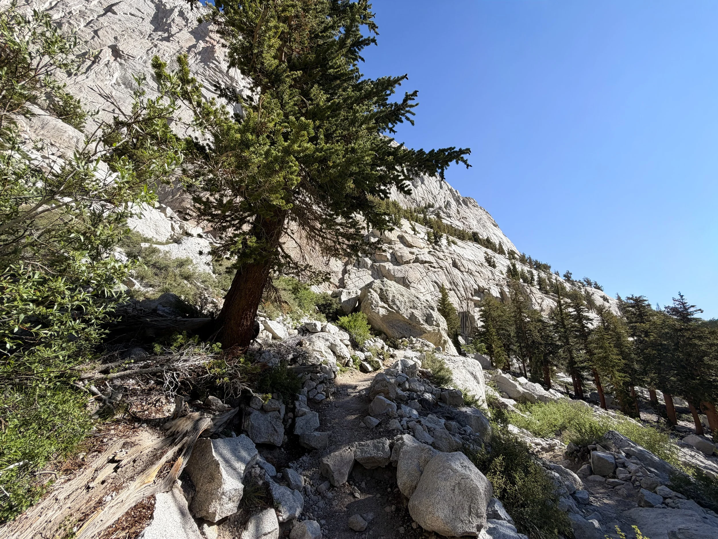 Mt. Whitney Trail Lone Pine California