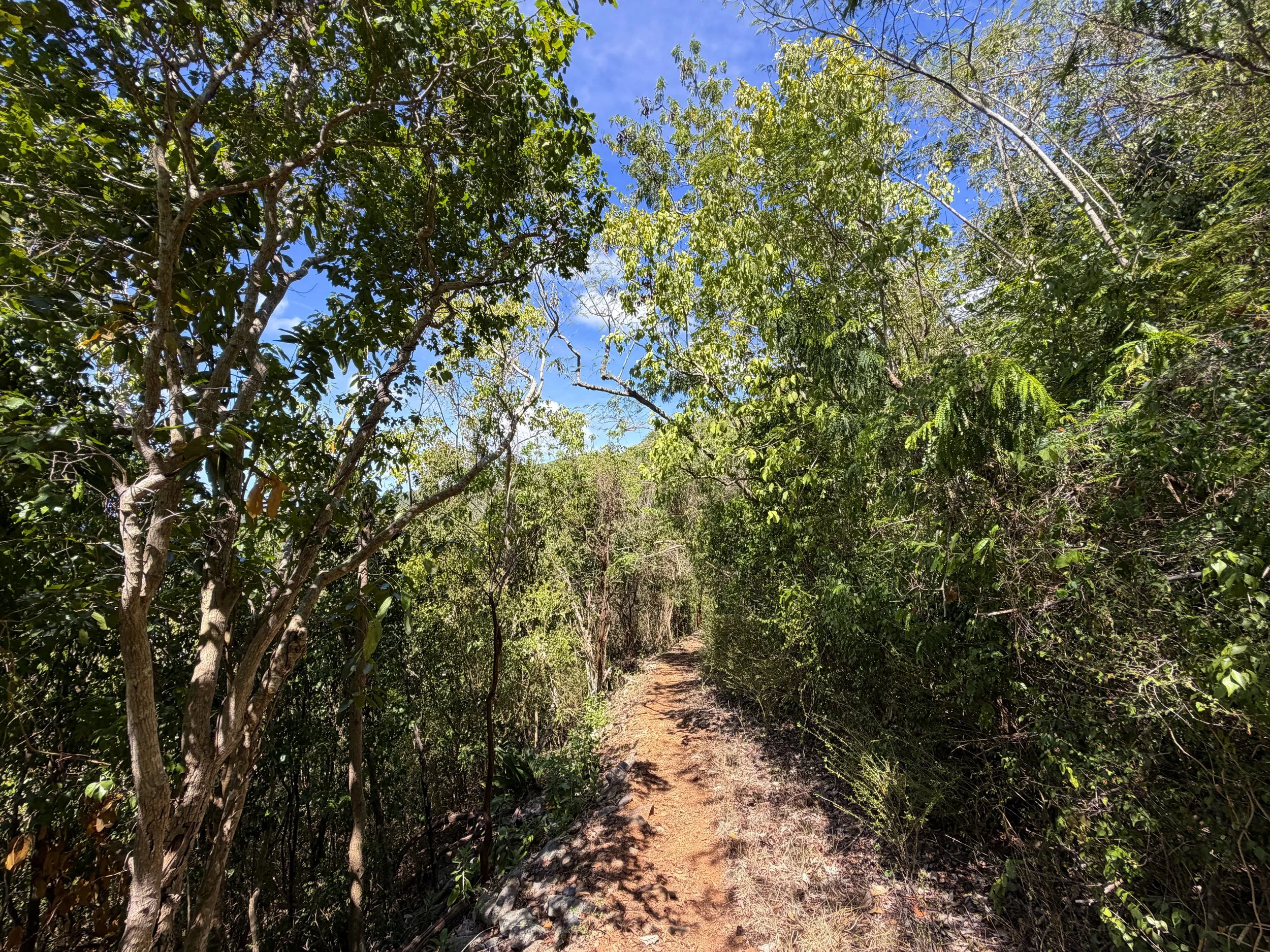 Lameshur Bay Trail to Petroglyph Trail Virgin Islands National Park