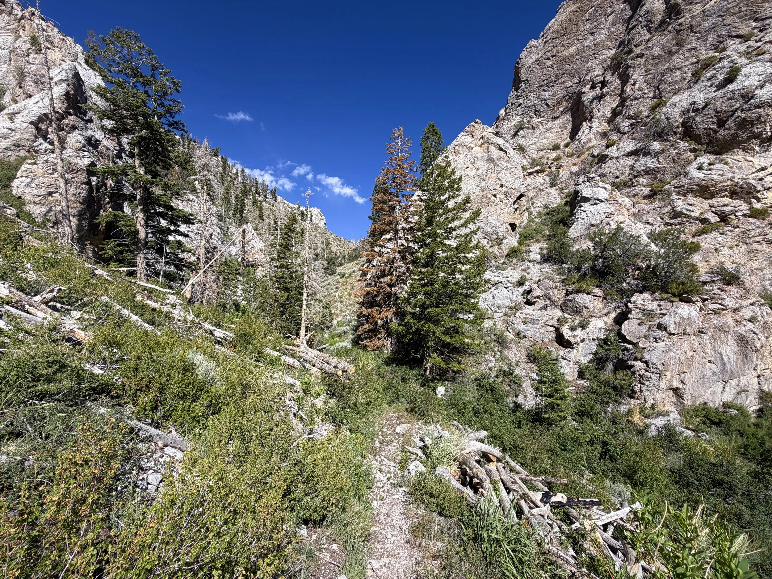Lexington Arch Trail Great Basin National Park Nevada
