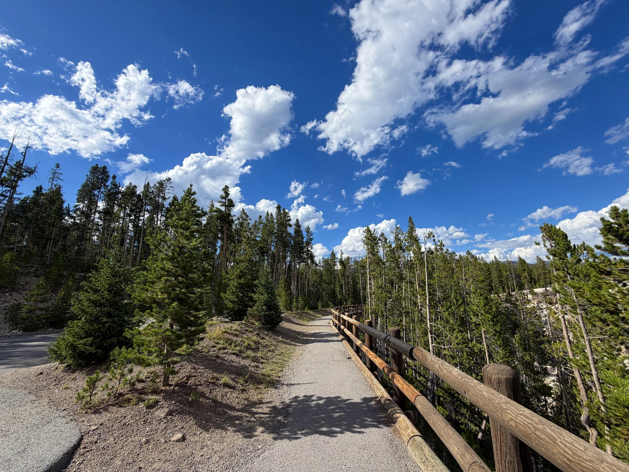 North Rim Trail Yellowstone National Park Wyoming