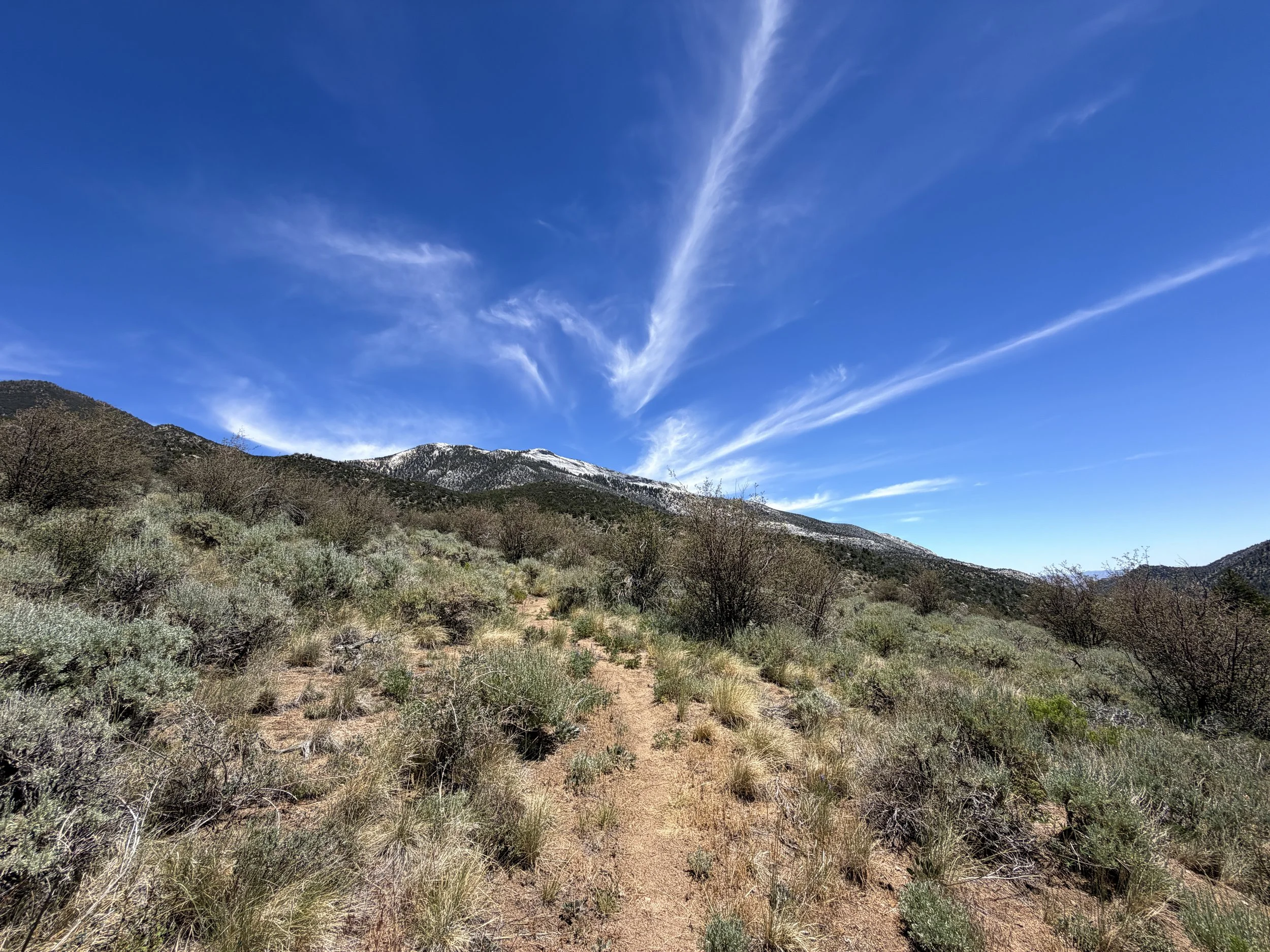Serviceberry Loop Trail Great Basin National Park Nevada