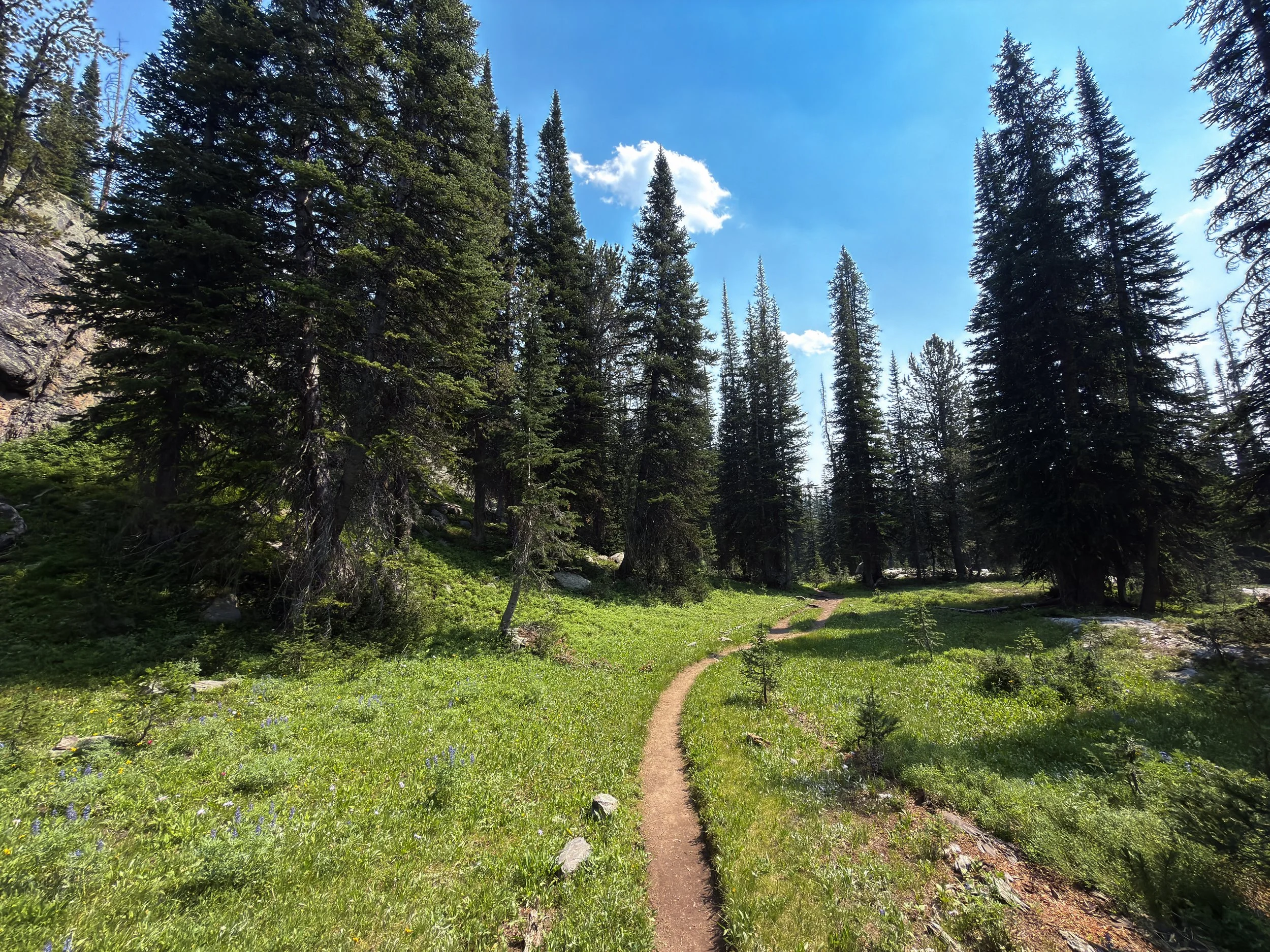 Russell Creek Trail The Beaten Path Beartooth Mountains Montana