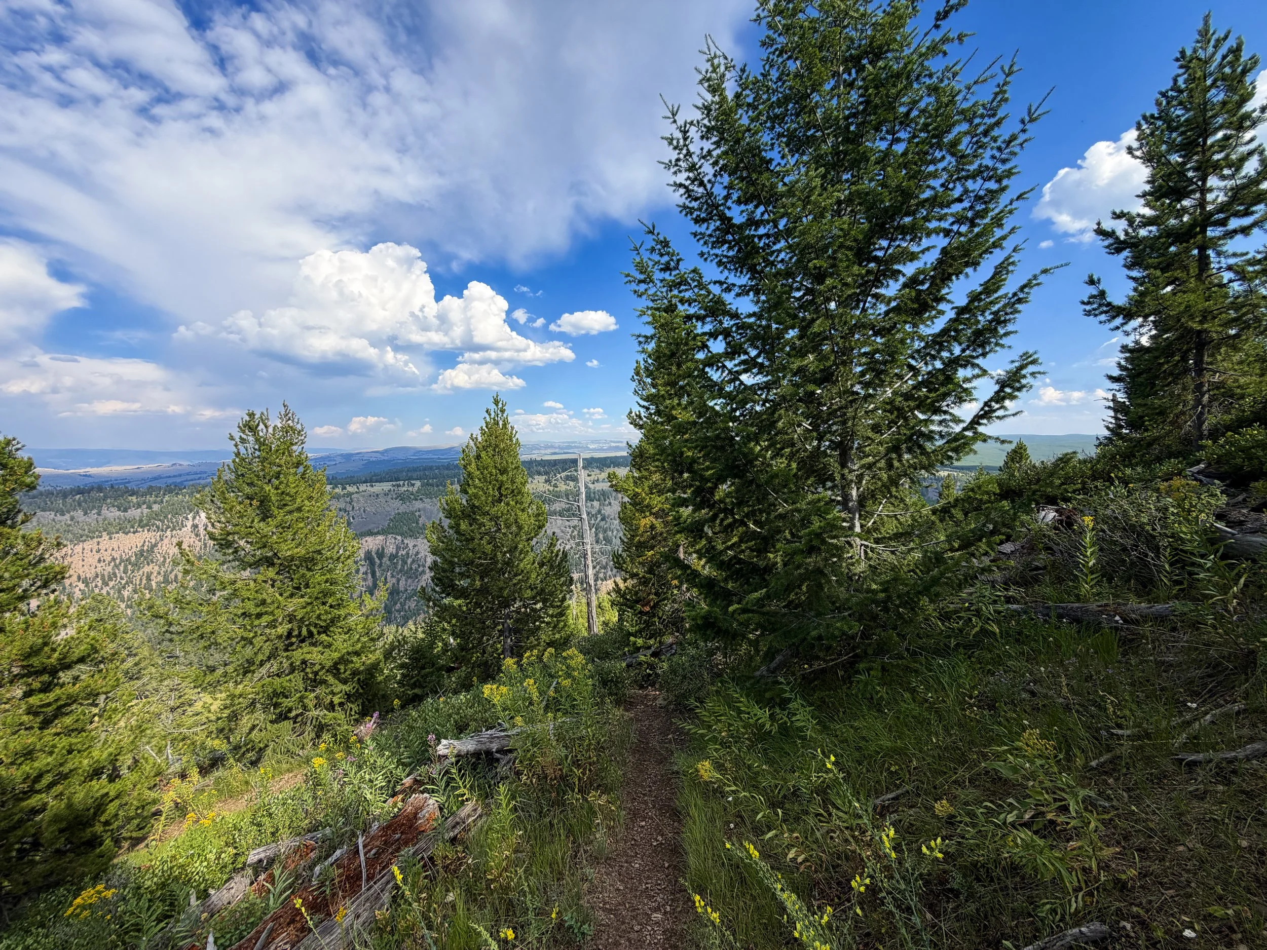 Bunsen Peak Trail Yellowstone National Park Wyoming