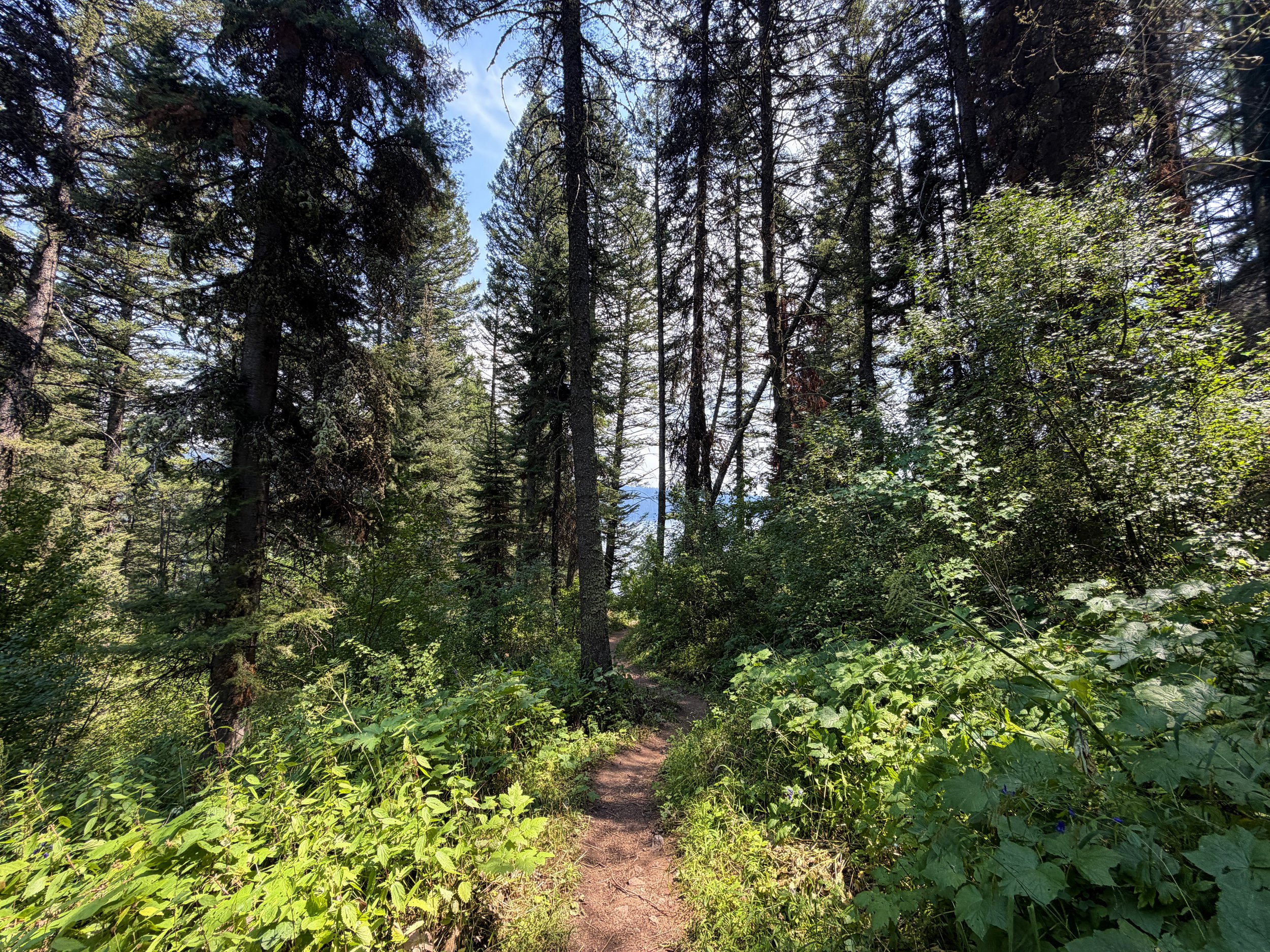 Phelps Lake Trail Grand Teton National Park Wyoming