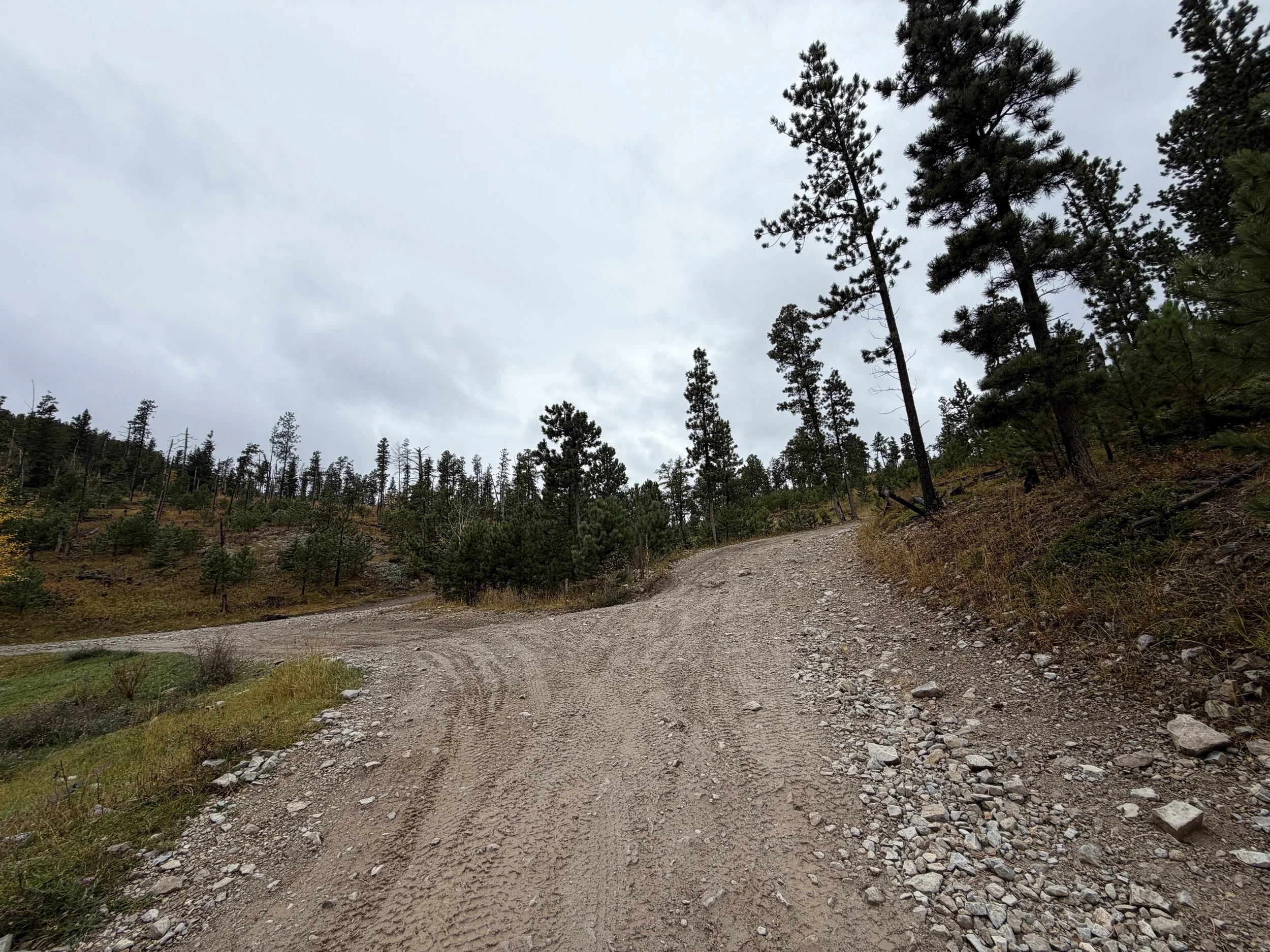 Custer Peak Lookout Trail Black Hills South Dakota
