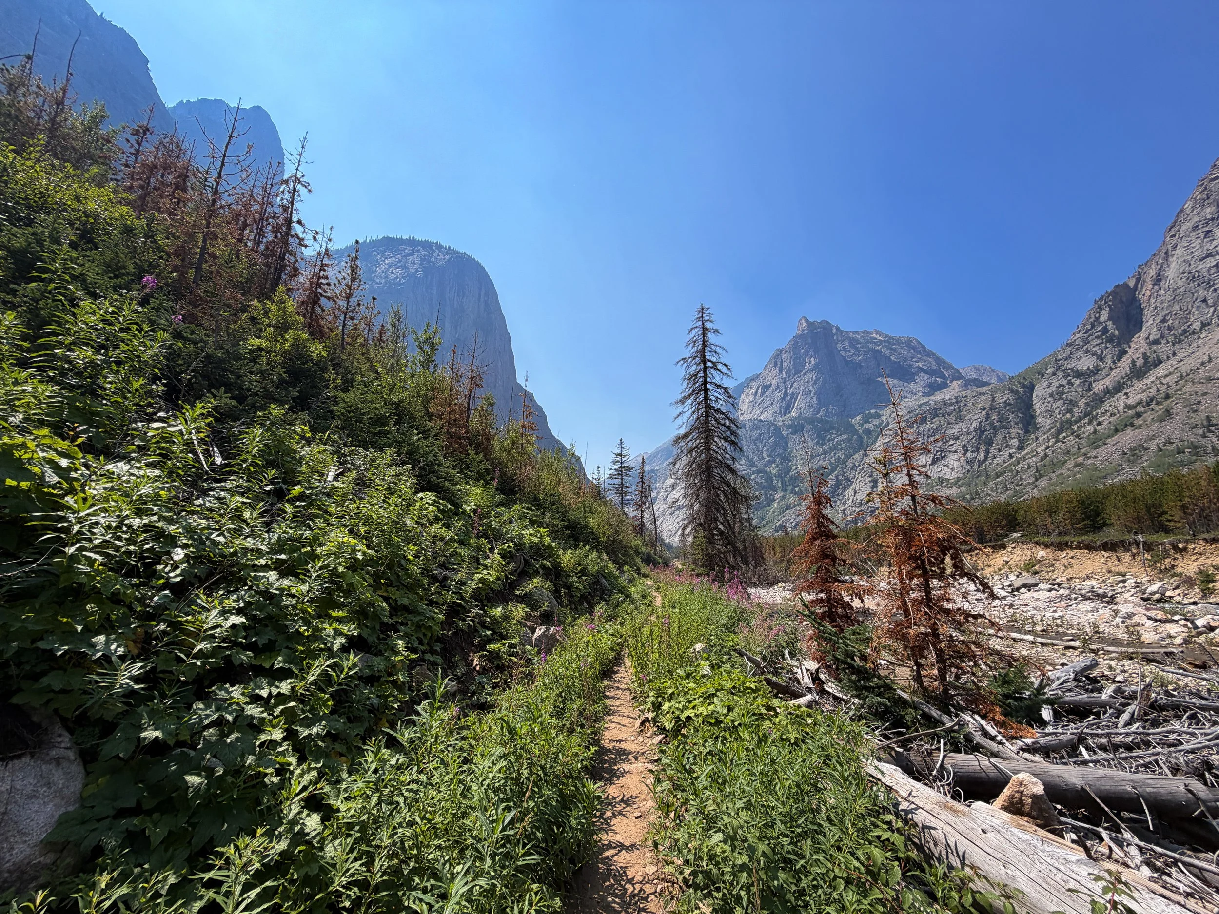 East Rosebud Trail Beaten Path Beartooth Mountains Montana