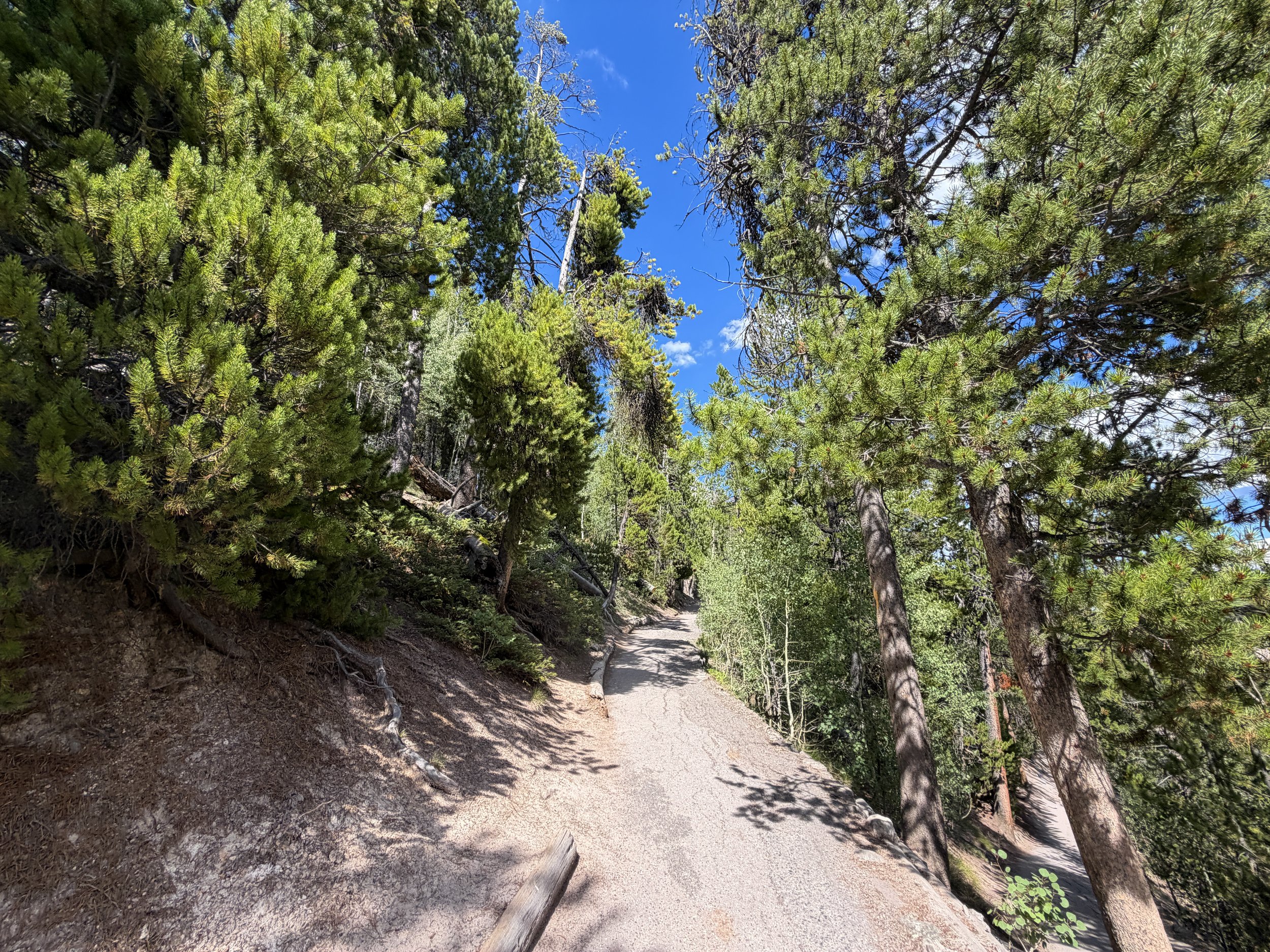 North Rim Hike Yellowstone National Park Wyoming
