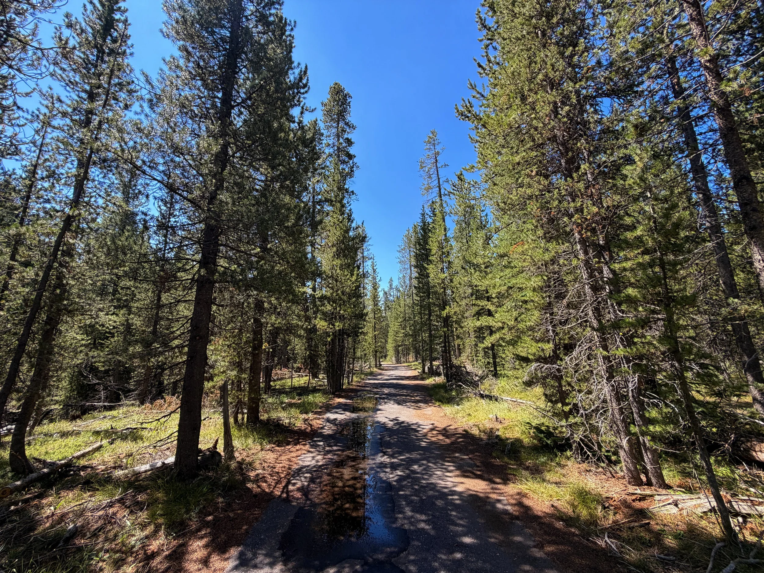 Lone Star Geyser Trail Yellowstone National Park Wyoming