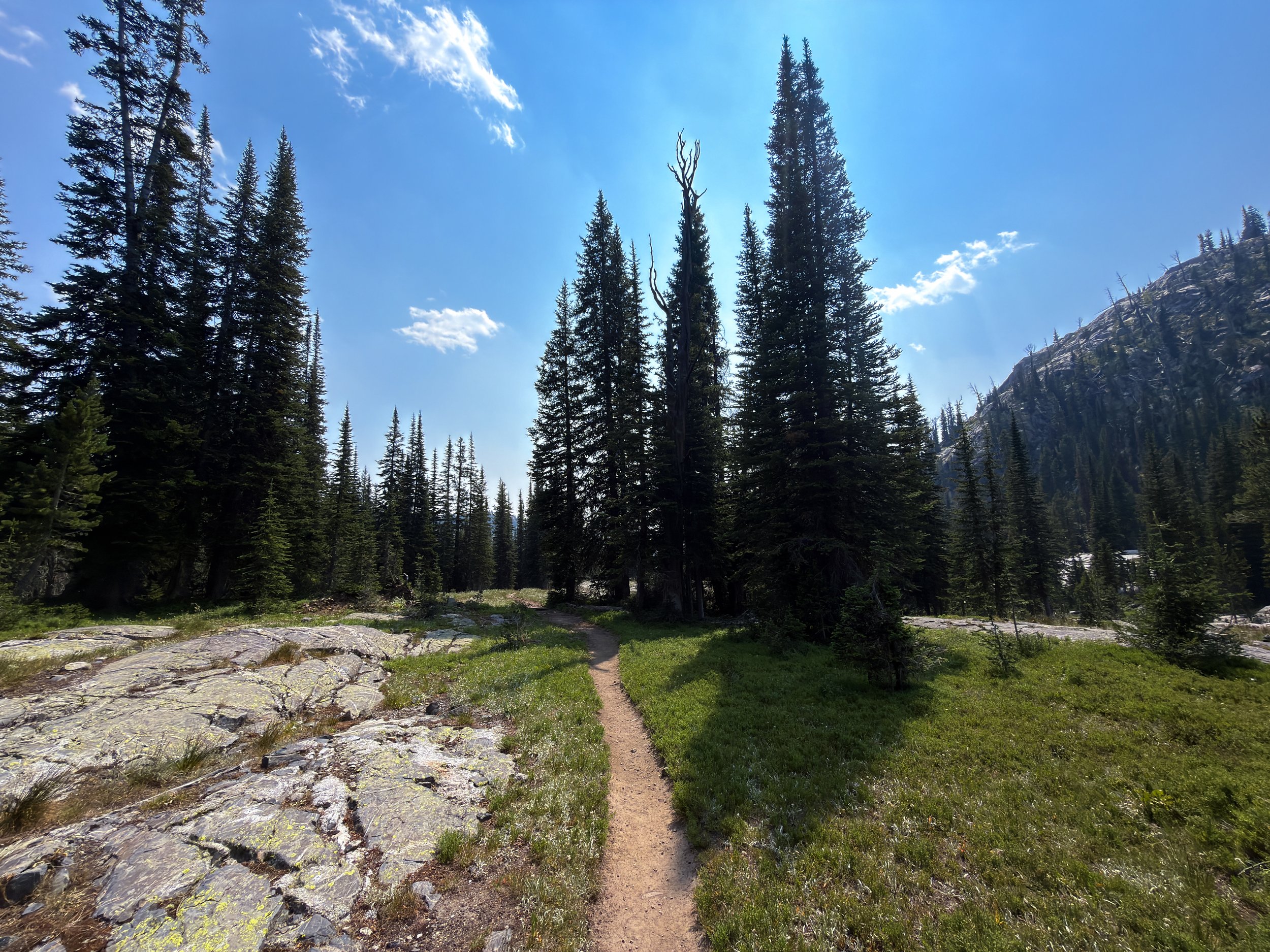 Russell Creek Trail The Beaten Path Beartooth Mountains Montana