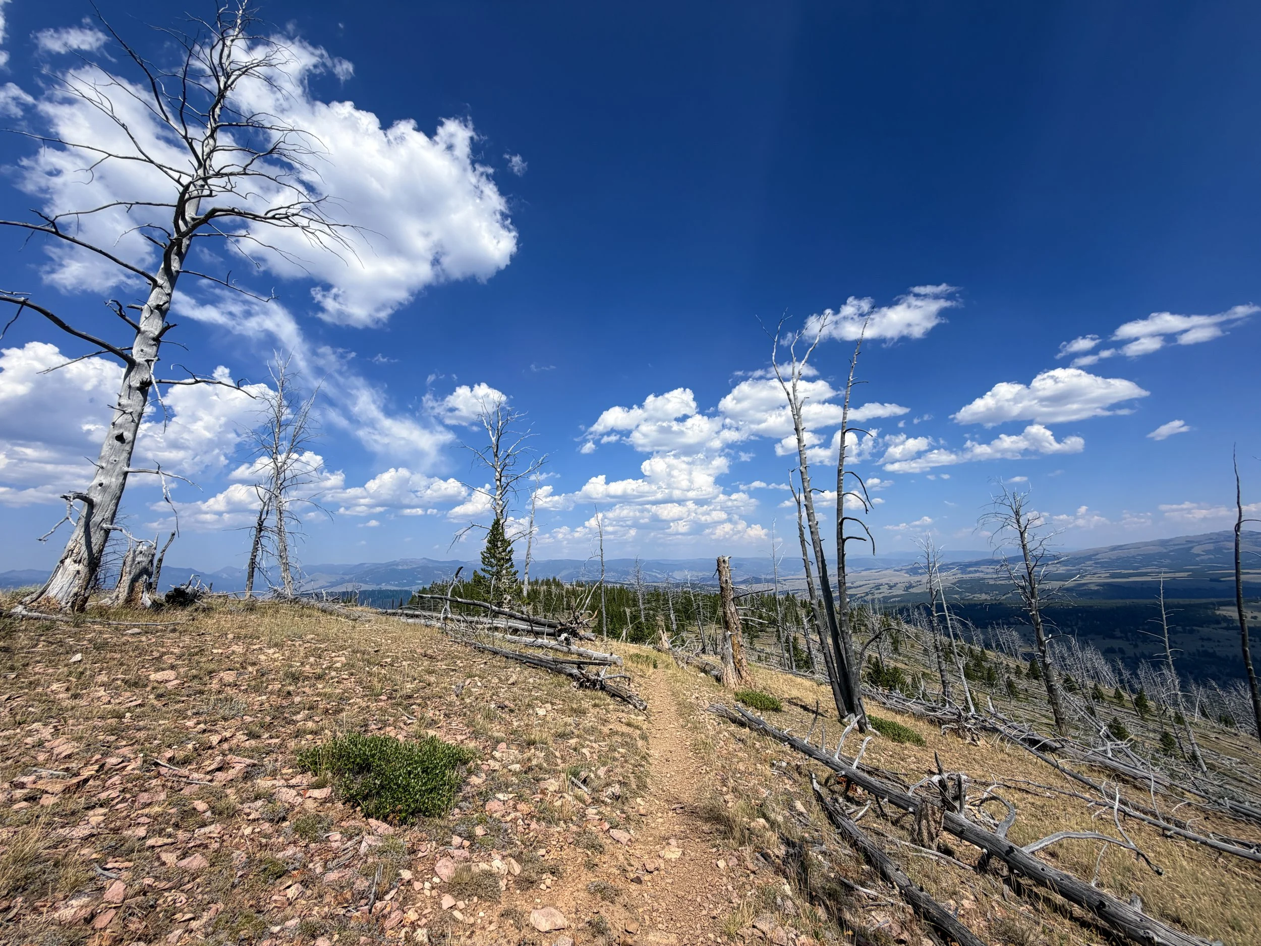 Bunsen Peak Trail to Osprey Falls Yellowstone National Park Wyoming