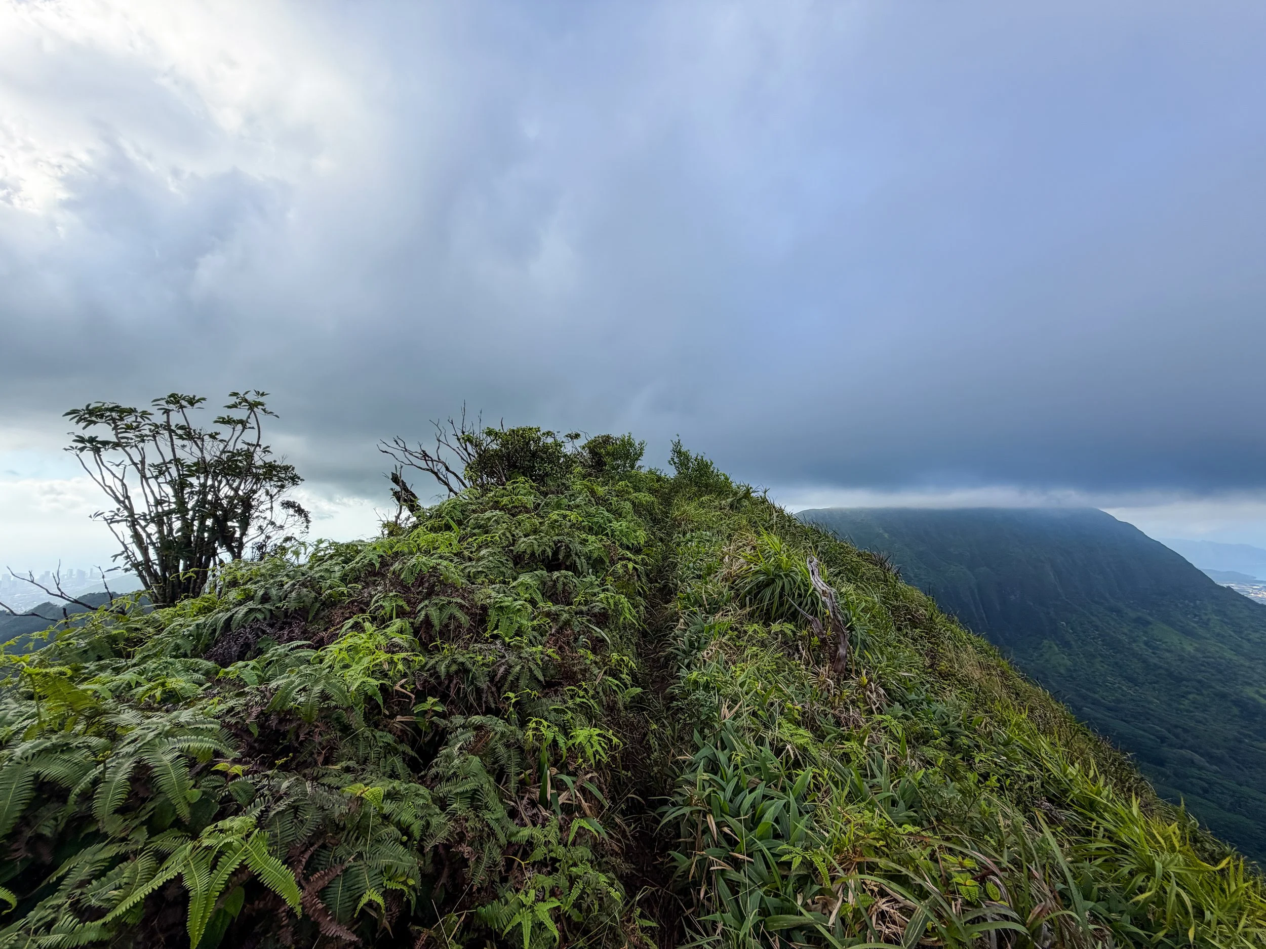 Koolau Summit Kaau Crater Trail Oahu Hawaii