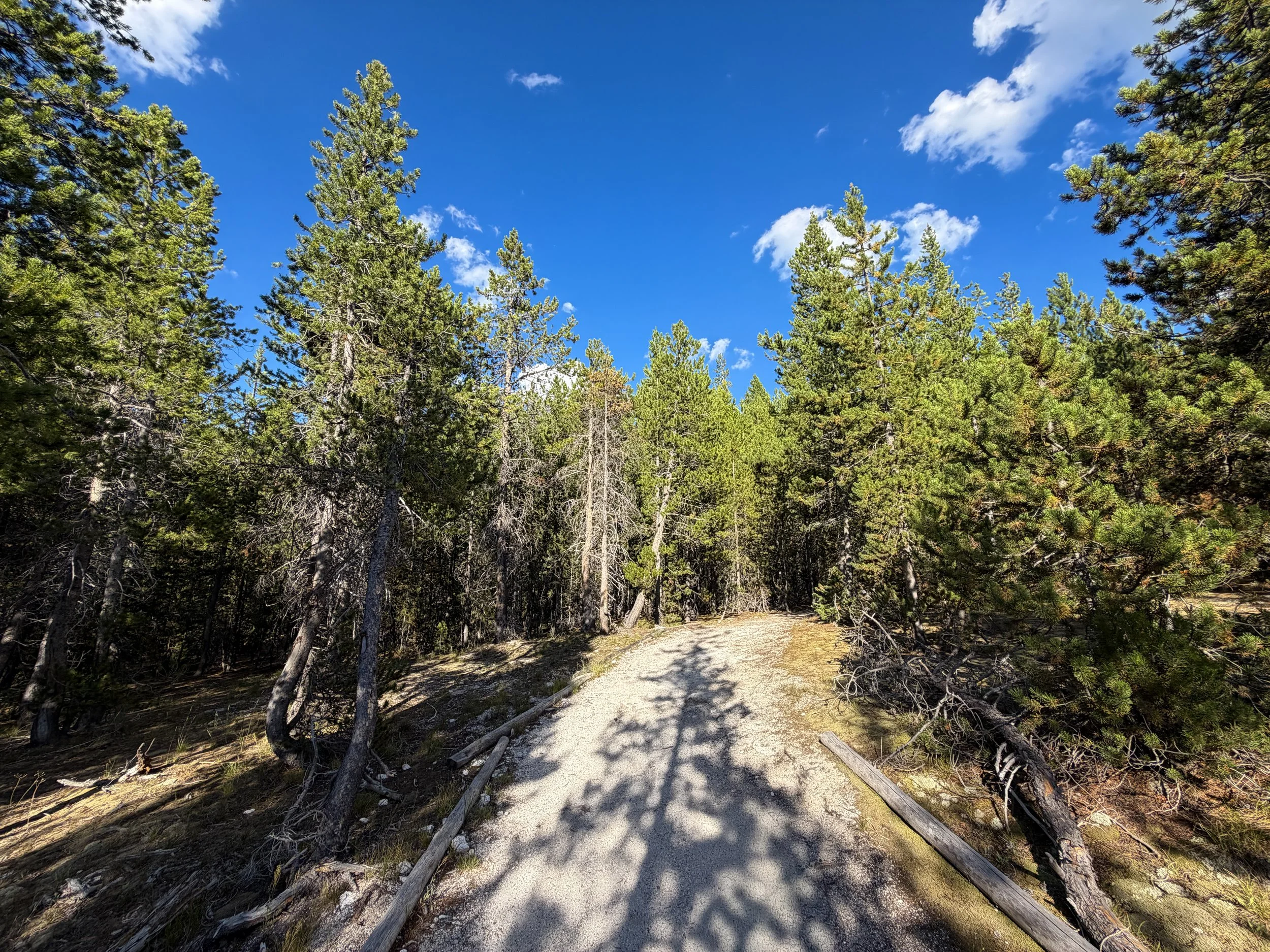 Artemisia Trail Yellowstone National Park Wyoming