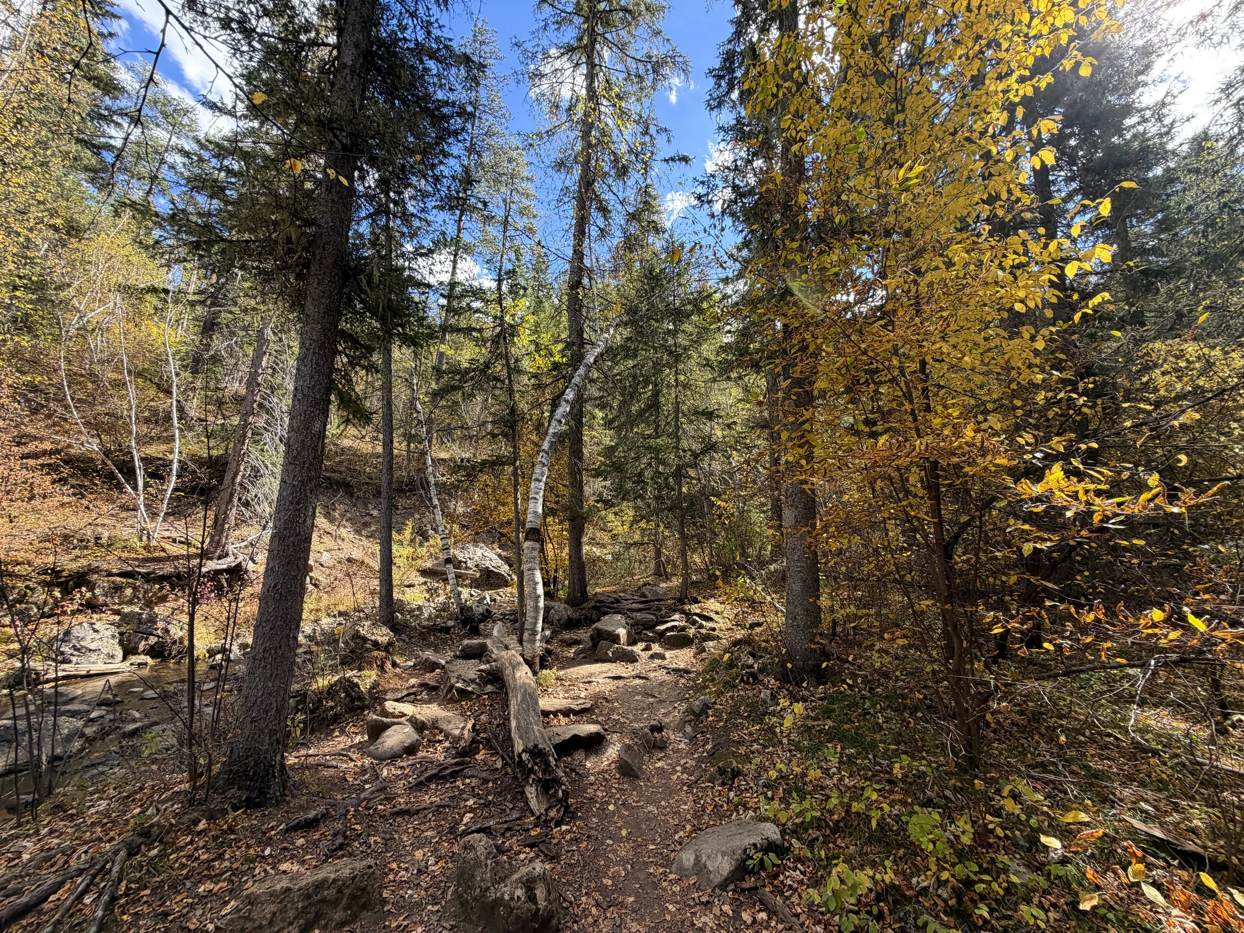Devils Bathtub Hike Spearfish Canyon Black Hills South Dakota