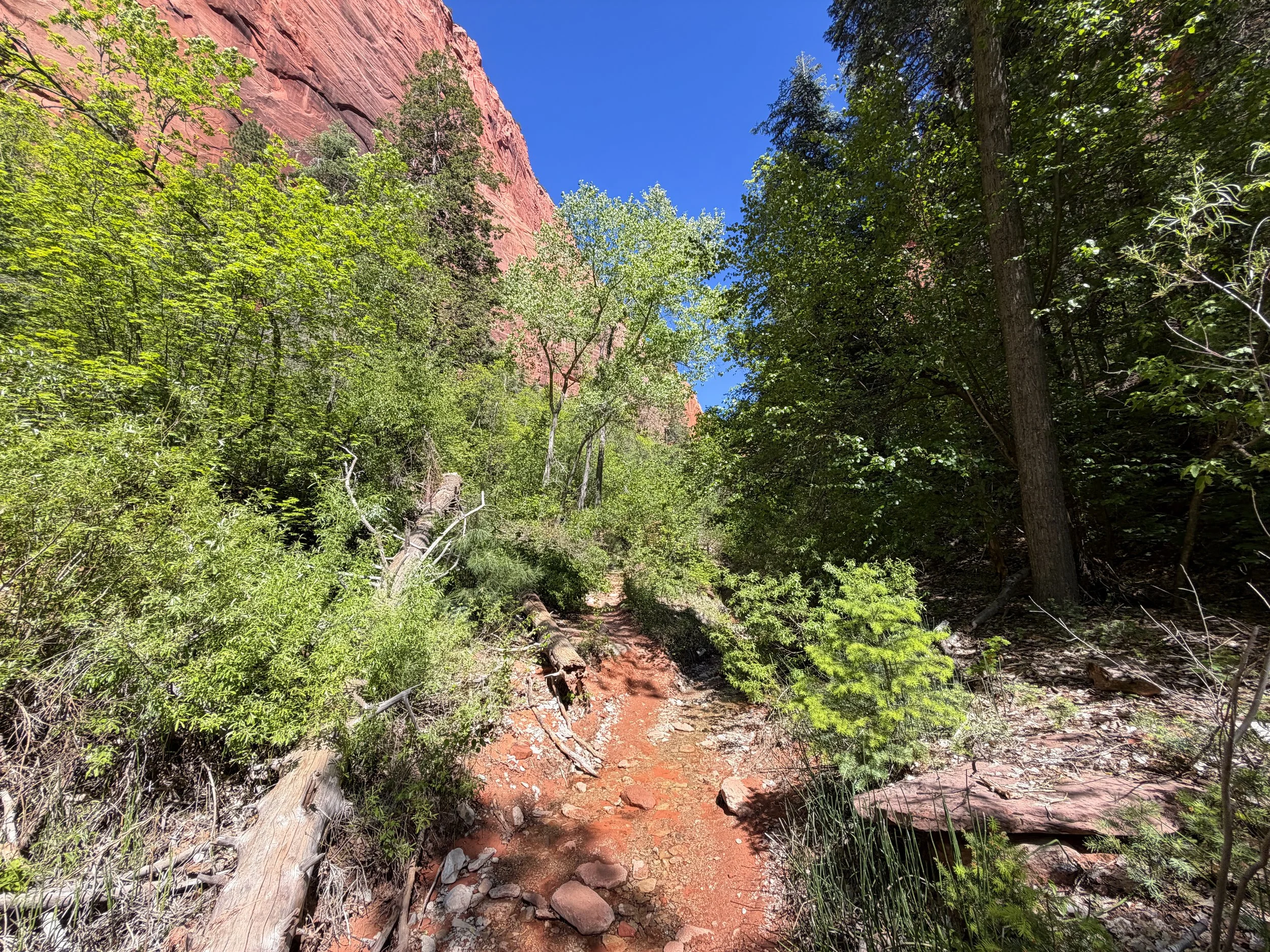 Middle Taylor Creek Trail Zion National Park Utah