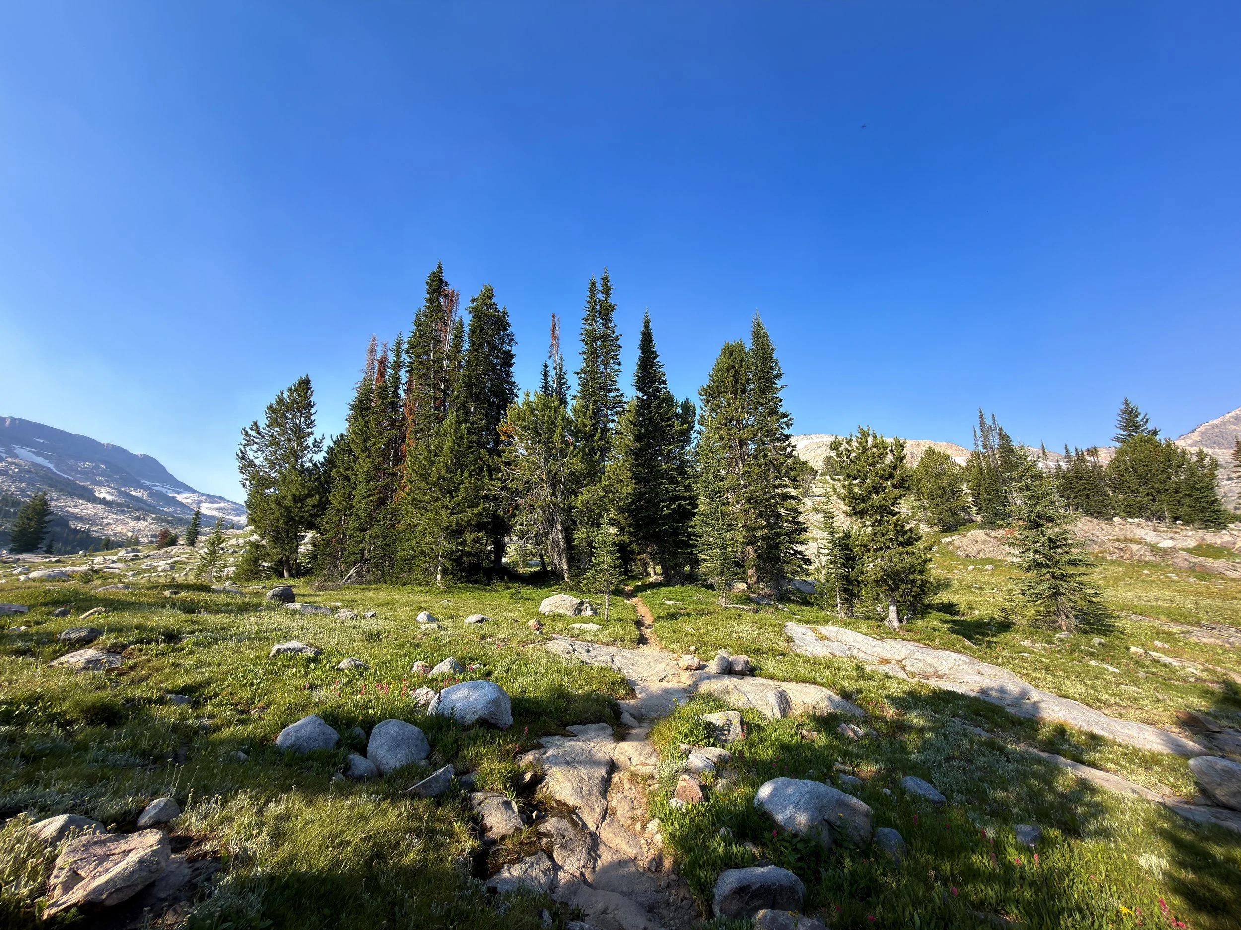 Beaten Path Hike Beartooth Mountains Montana