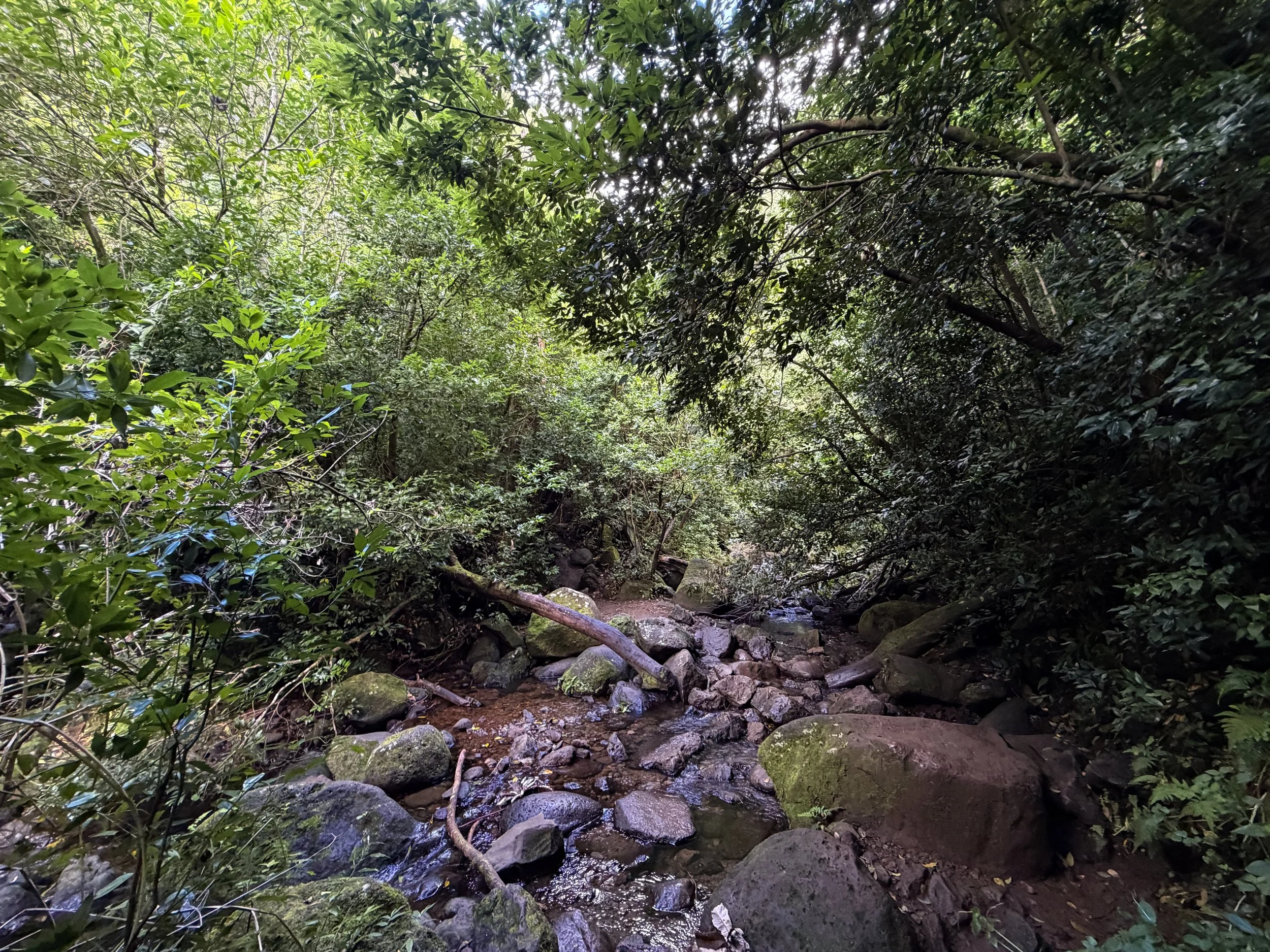 Lulumahu Falls Trail Oahu Hawaii