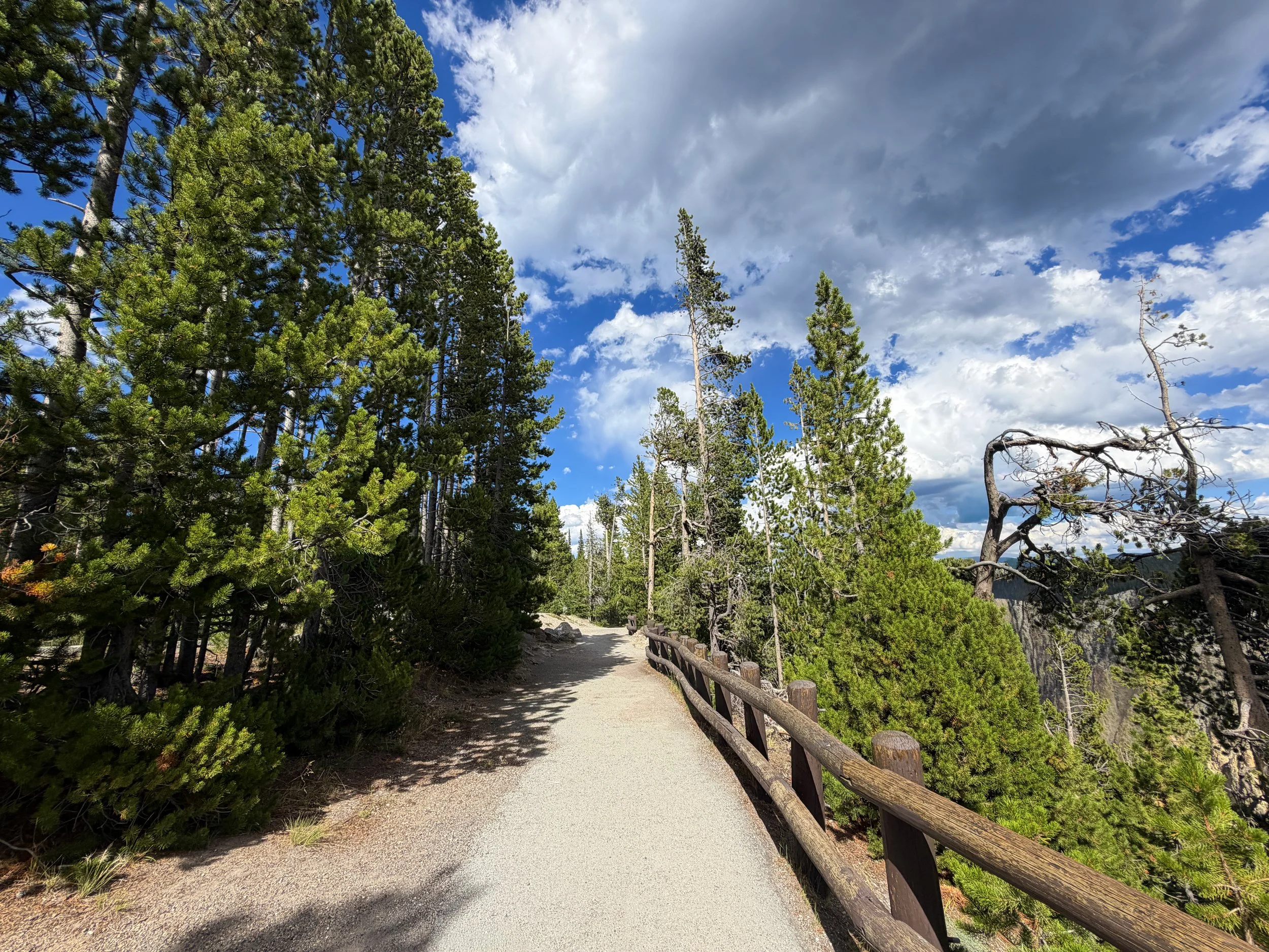 North Rim Hike Yellowstone National Park Wyoming