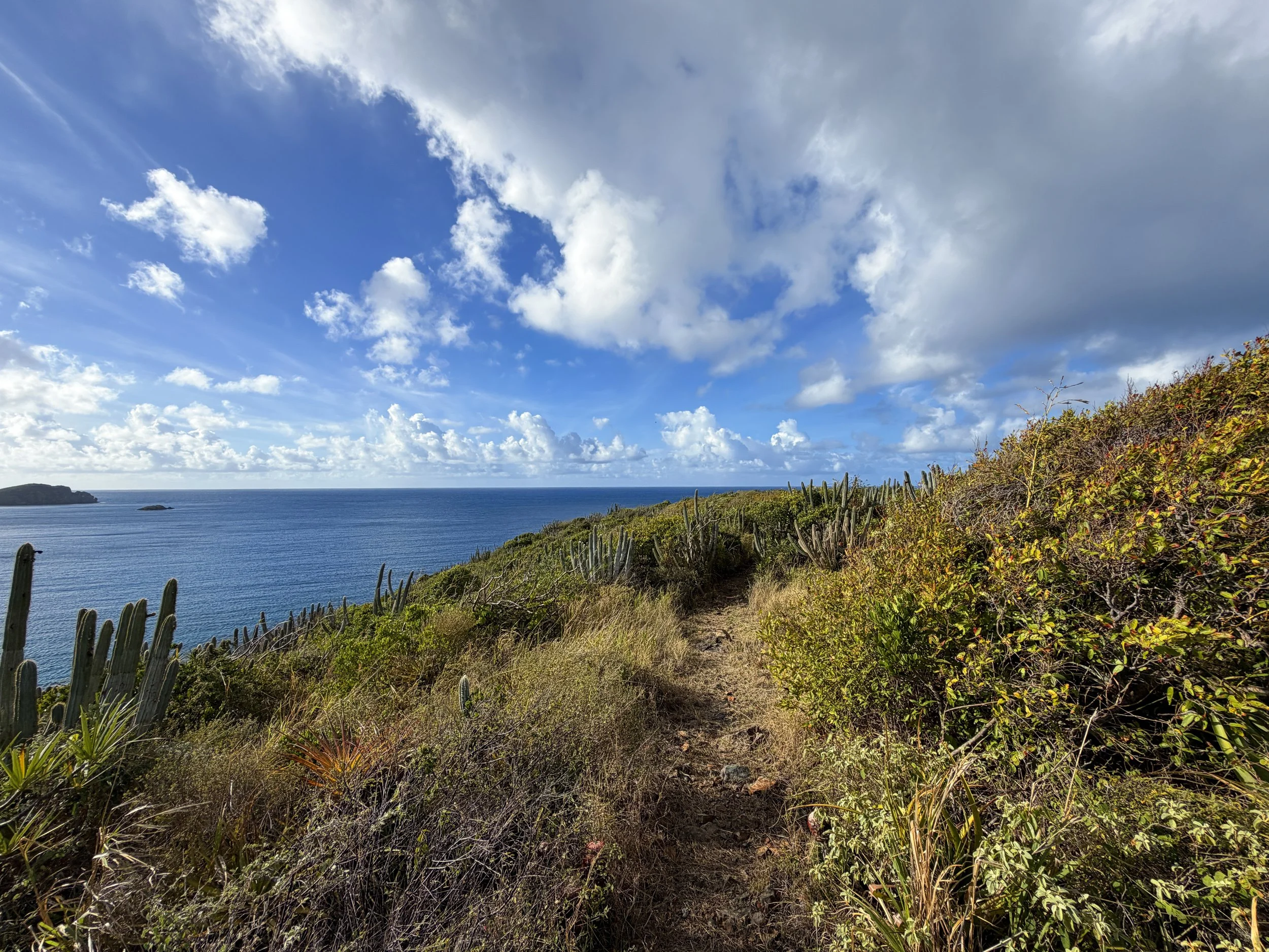 Cabritte Horn Spur Trail Virgin Islands National Park