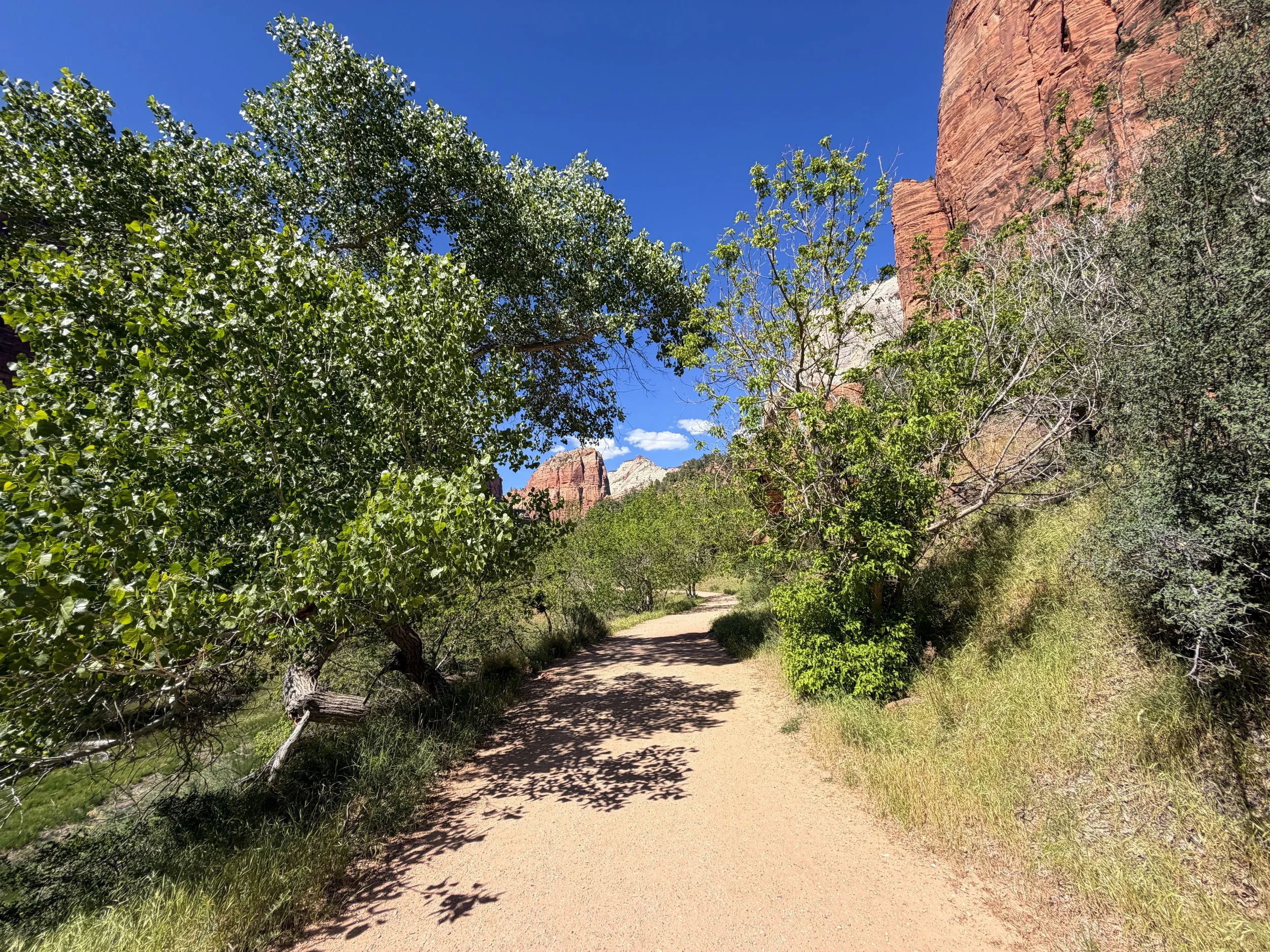 Grotto Trail Zion National Park Utah