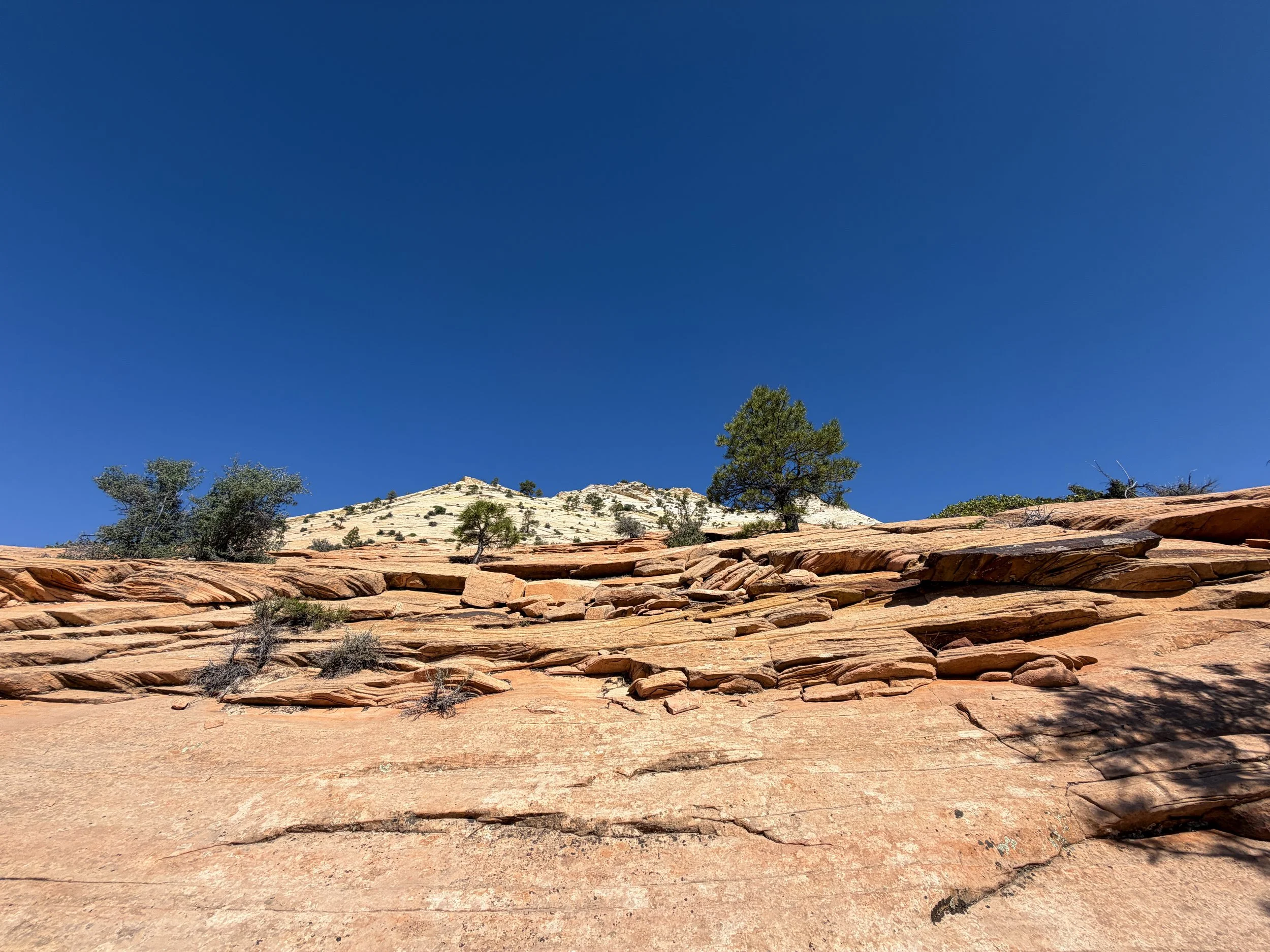South Ariel Peak Trail Zion National Park Utah