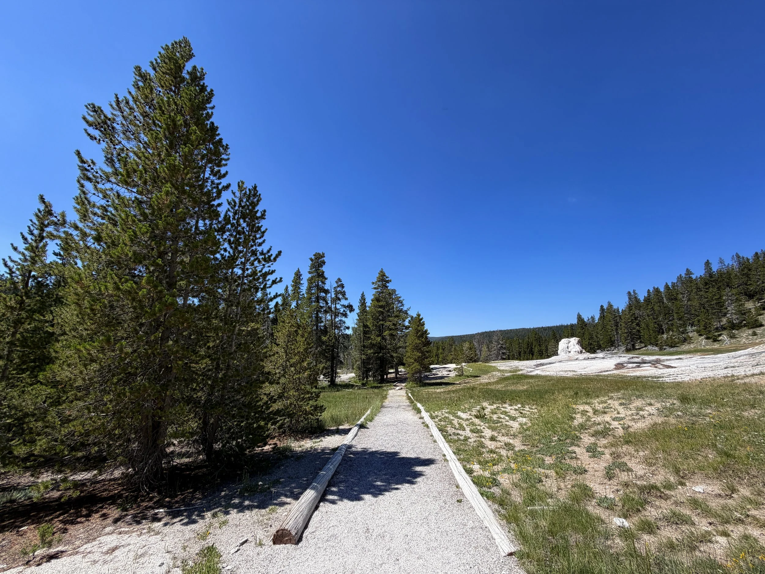 Lone Star Geyser Trail Yellowstone National Park Wyoming