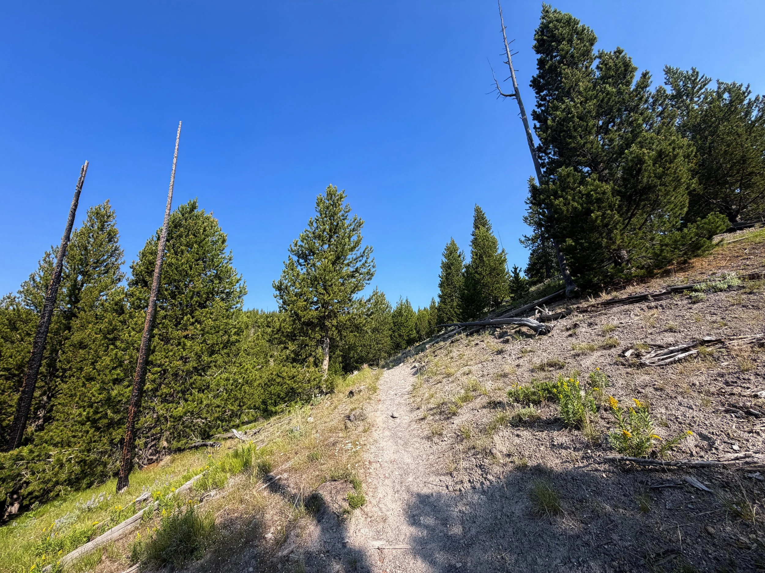 Mystic Falls Trail Yellowstone National Park Wyoming