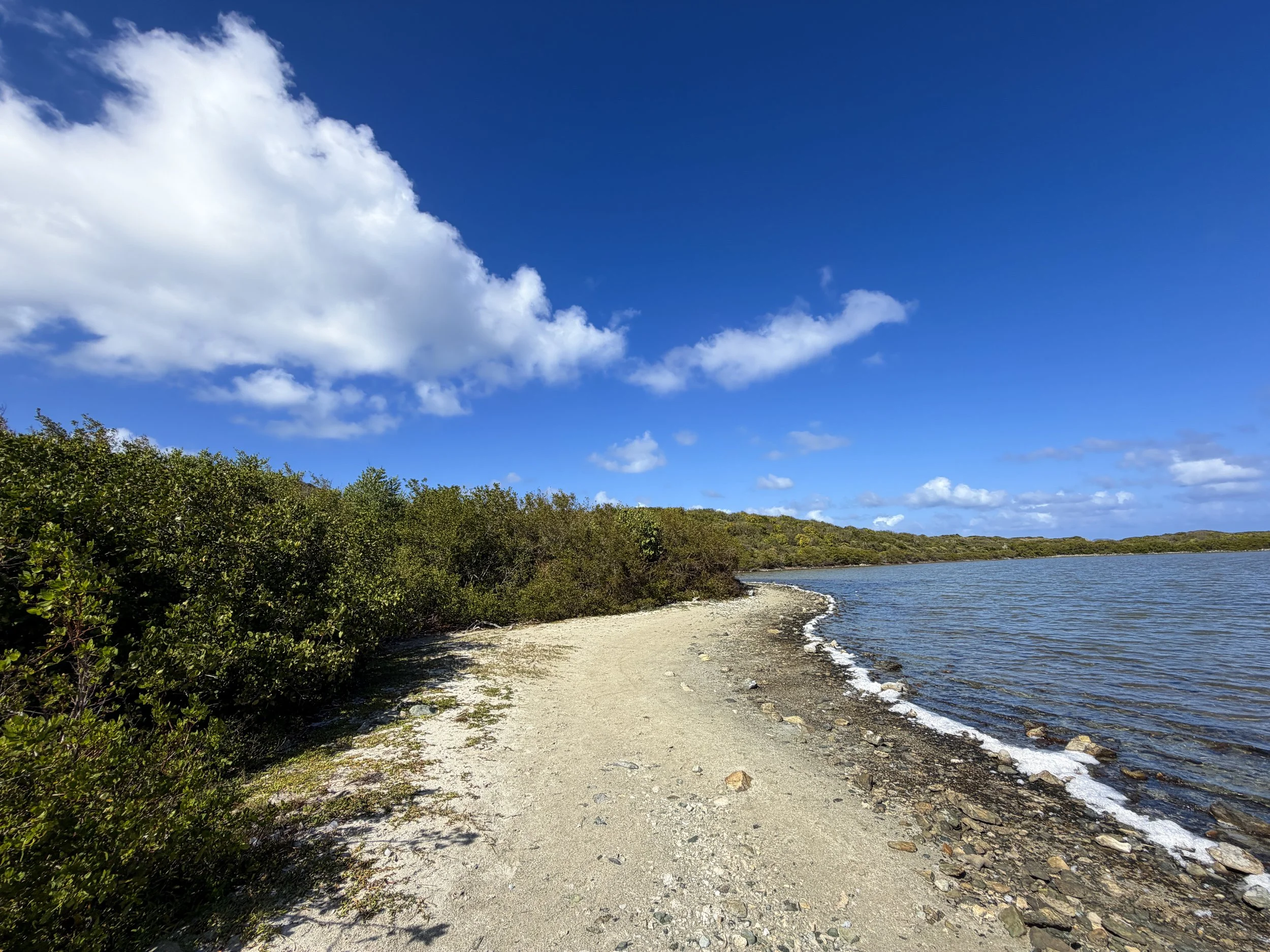 Drunk Bay Hike Virgin Islands National Park
