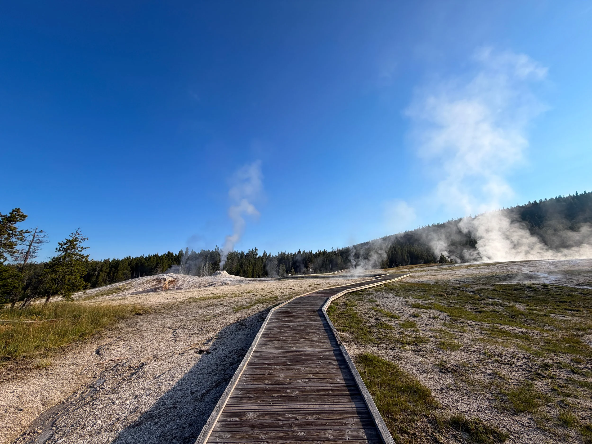 Upper Geyser Basin Trail Yellowstone National Park Wyoming
