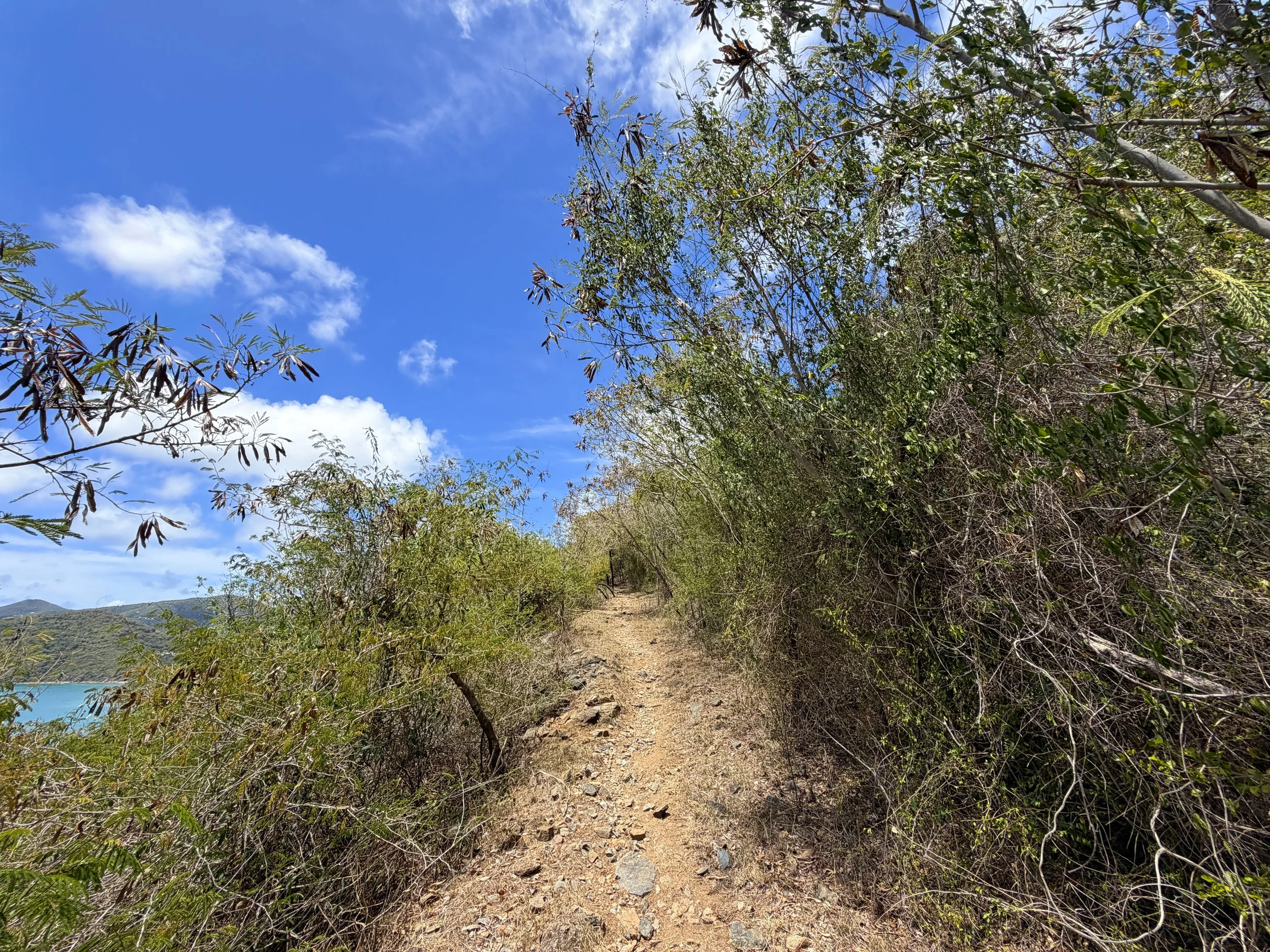 Brown Bay Trail Virgin Islands National Park