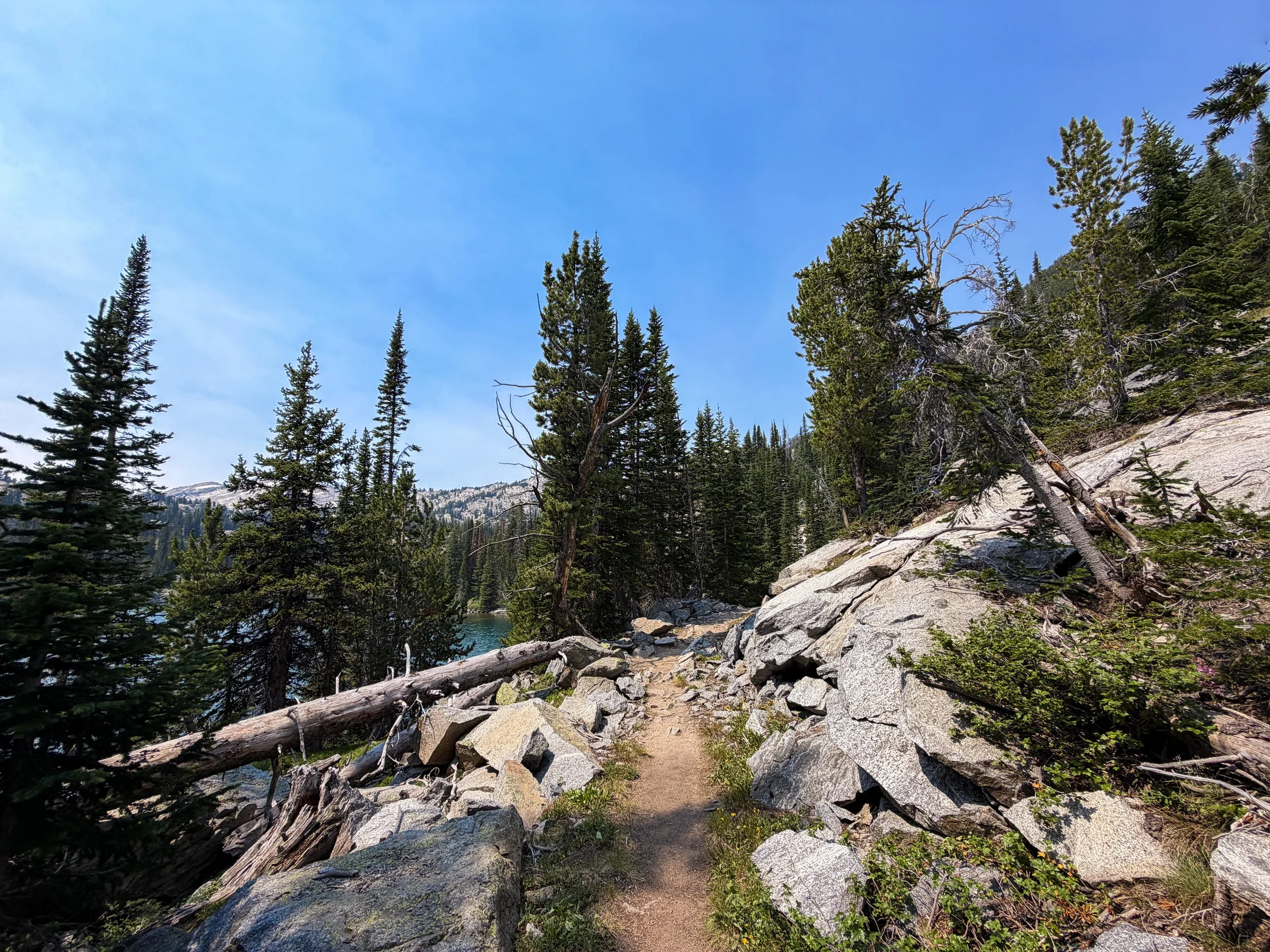 The Beaten Path Trail Beartooth Mountains Montana
