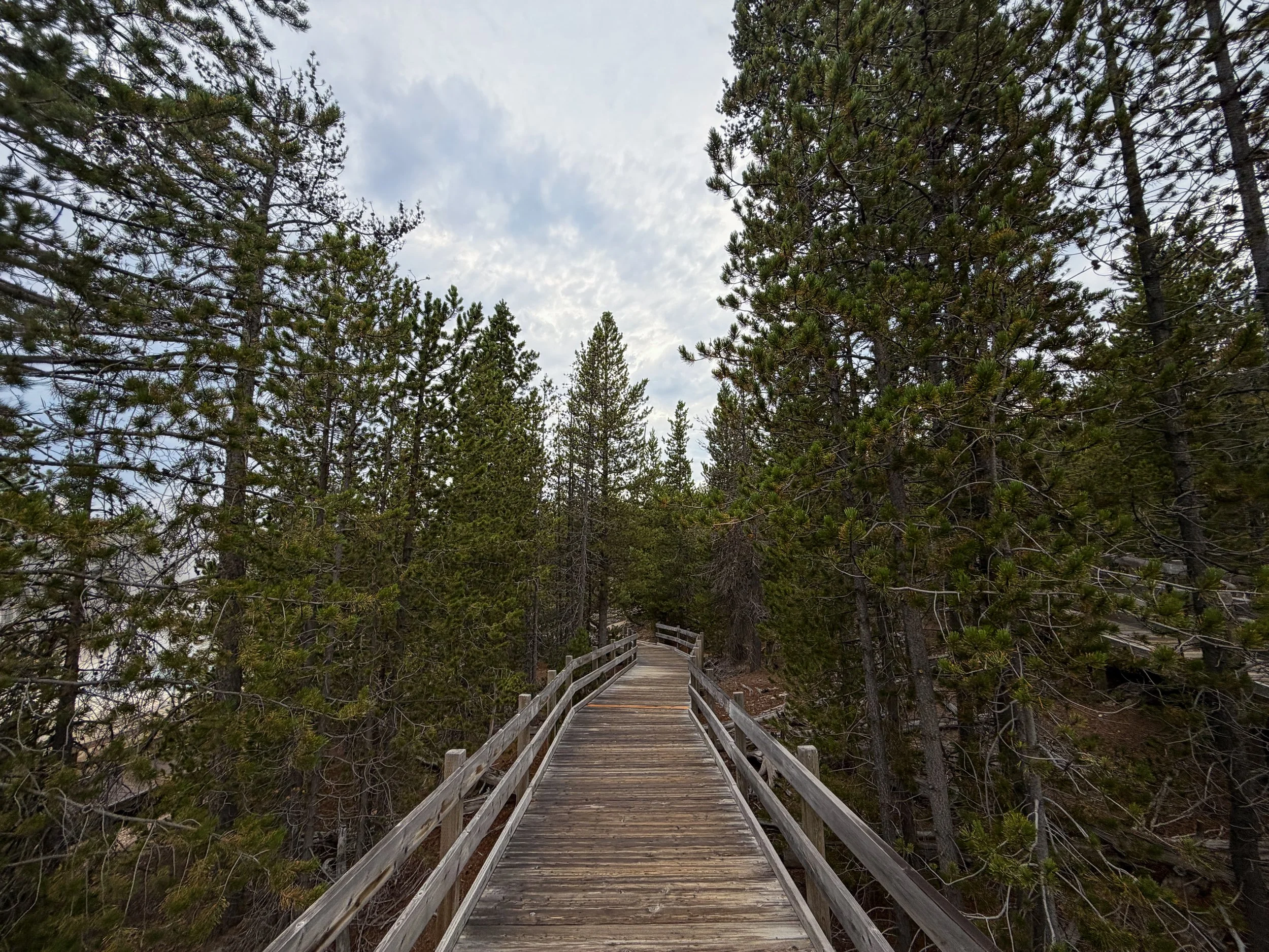 Back Basin Trail Norris Geyser Basin Yellowstone National Park Wyoming