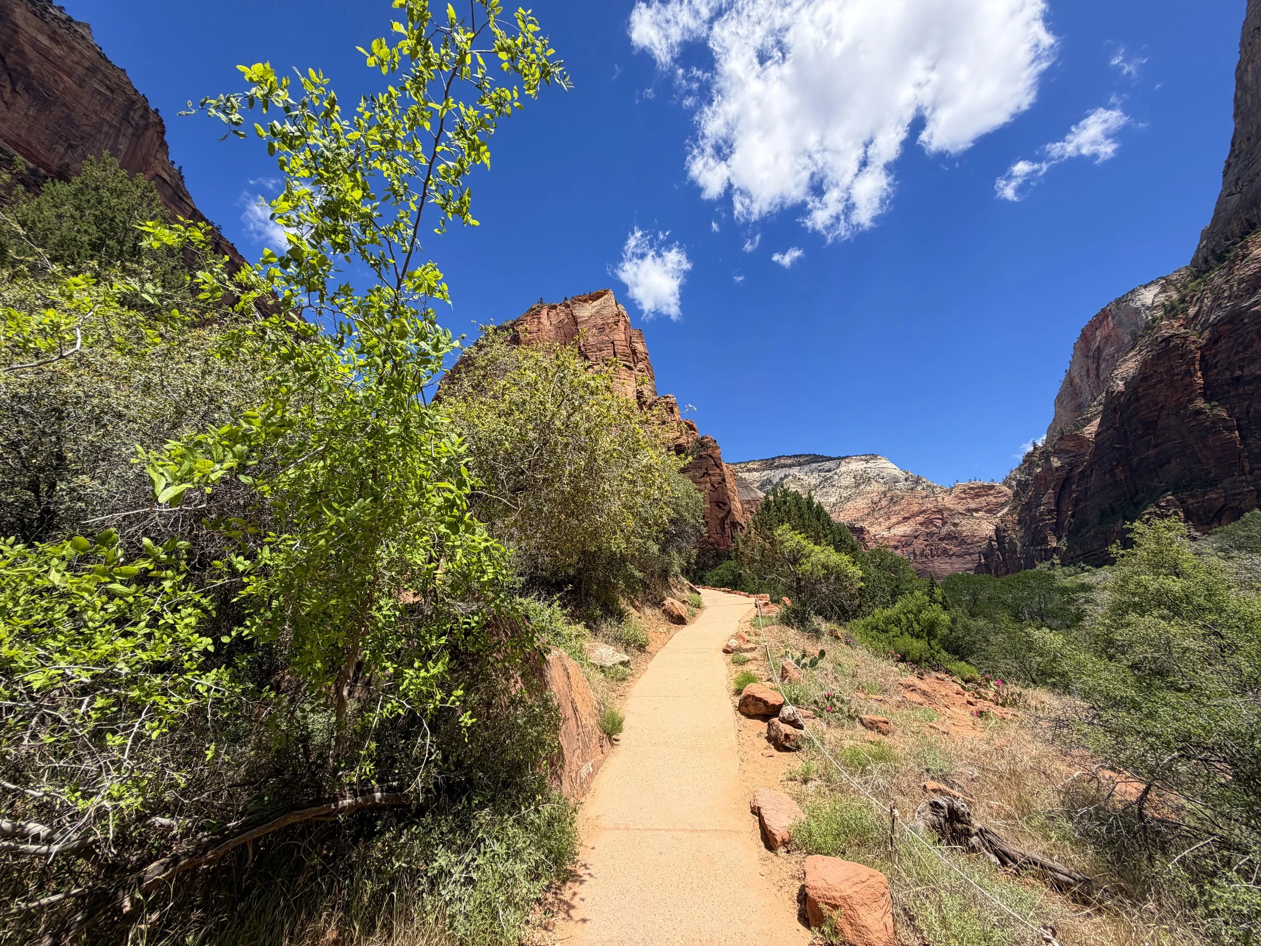 Angels Landing Hike Zion National Park Utah