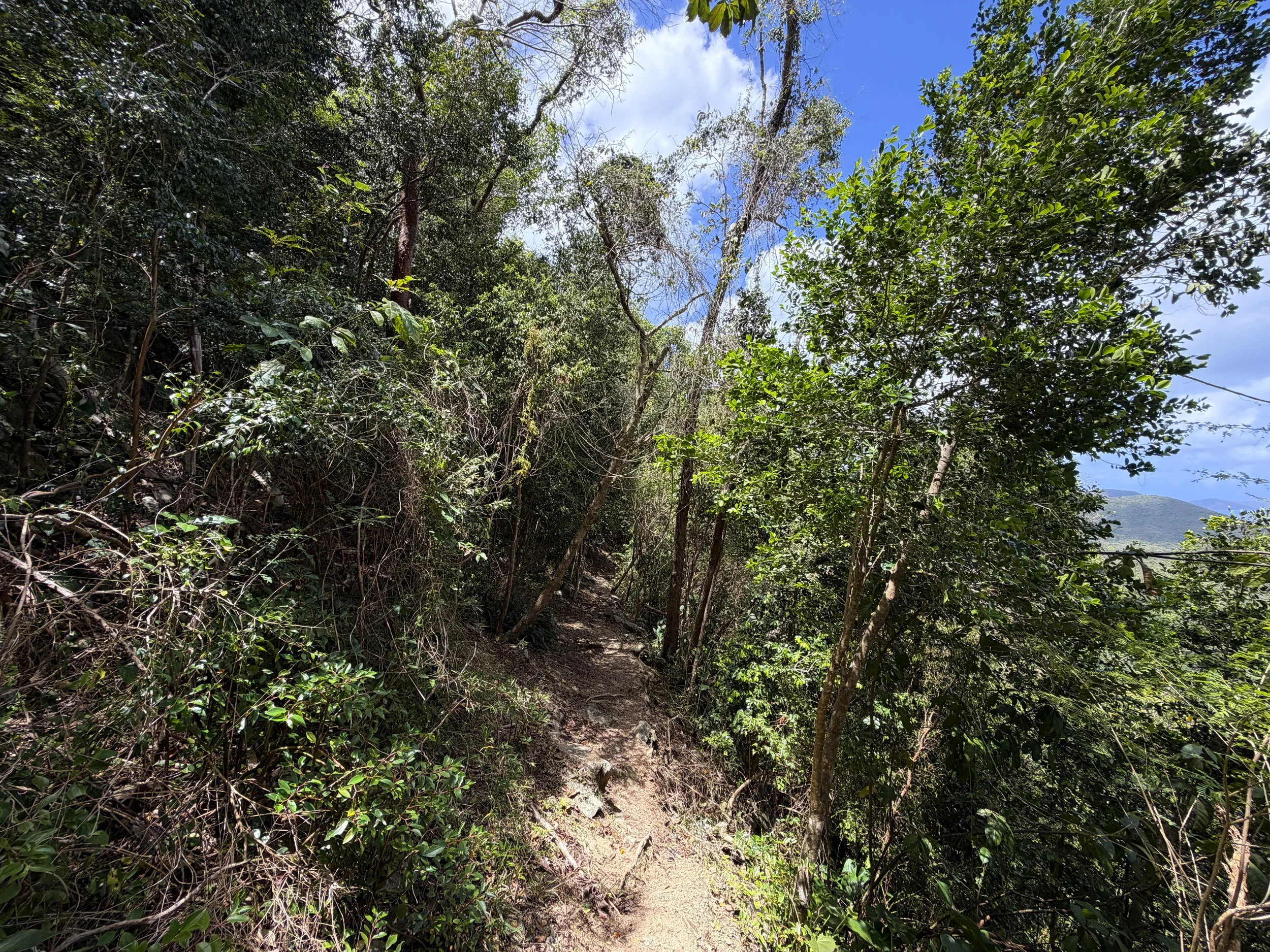 Maria Hope Hike Virgin Islands National Park