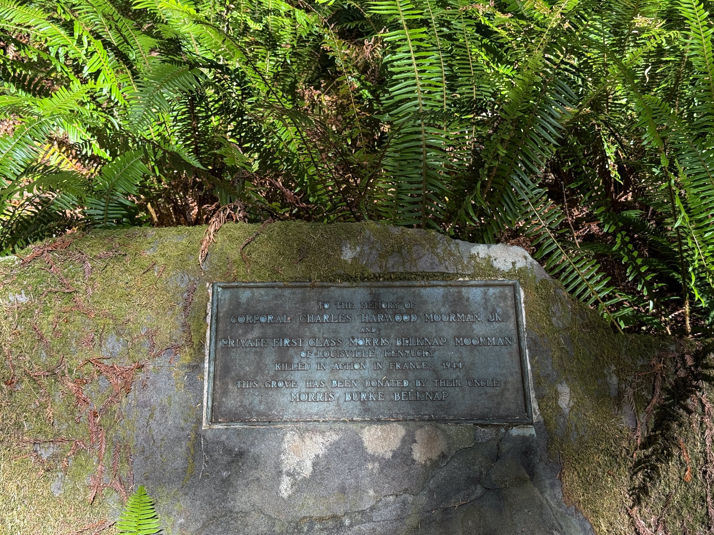Memorial Moorman Pond Trail Prairie Creek Redwoods State Park California