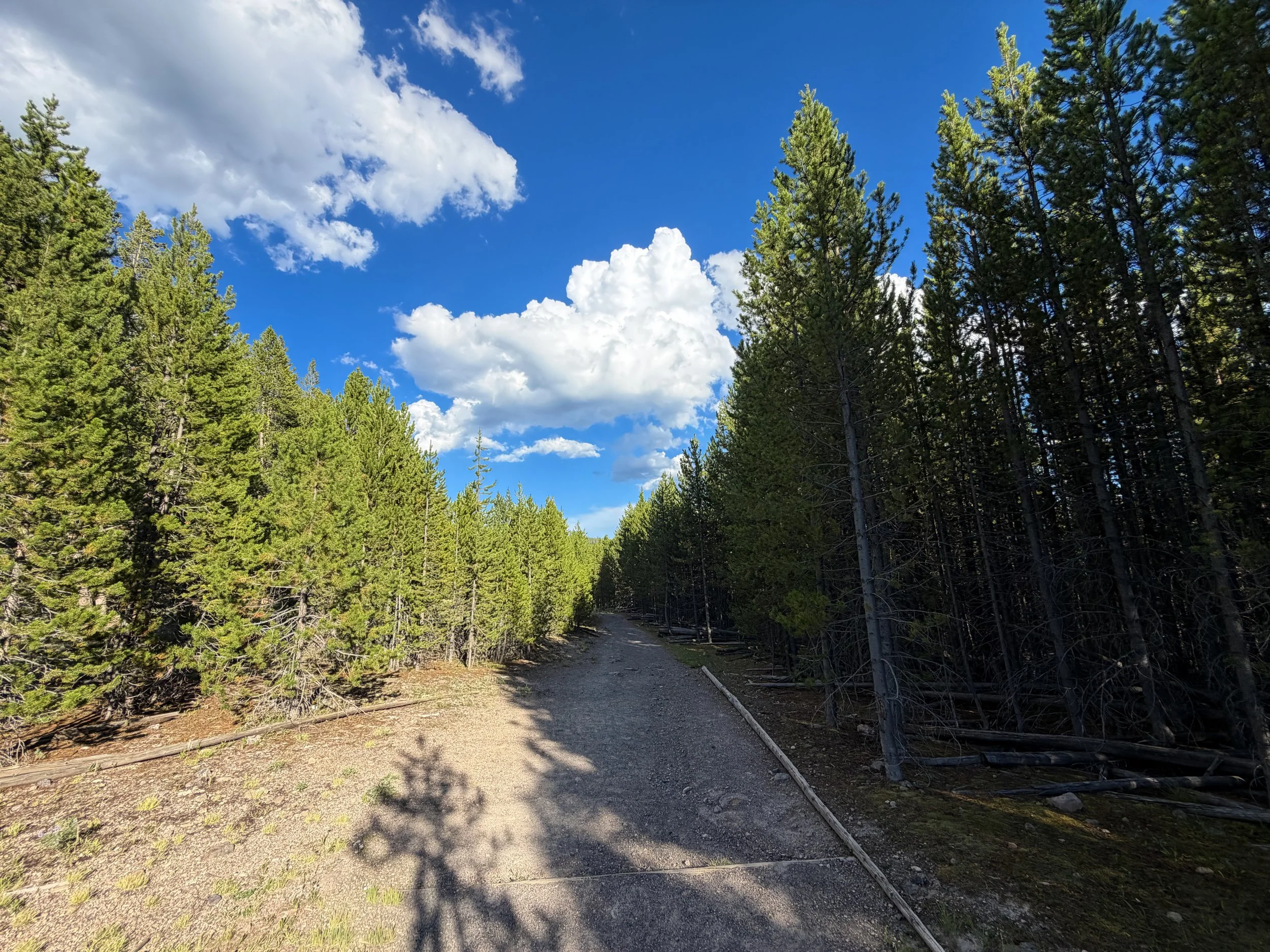 Artemisia Trail Yellowstone National Park Wyoming