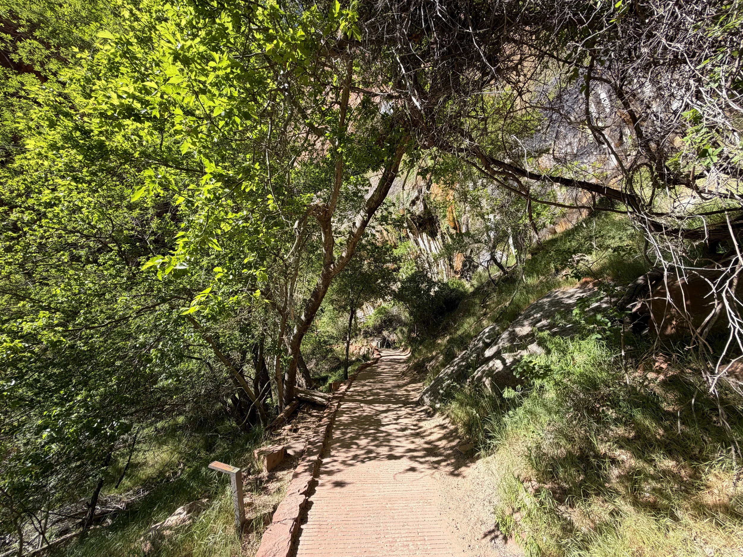 Weeping Rock Trail Zion National Park Utah