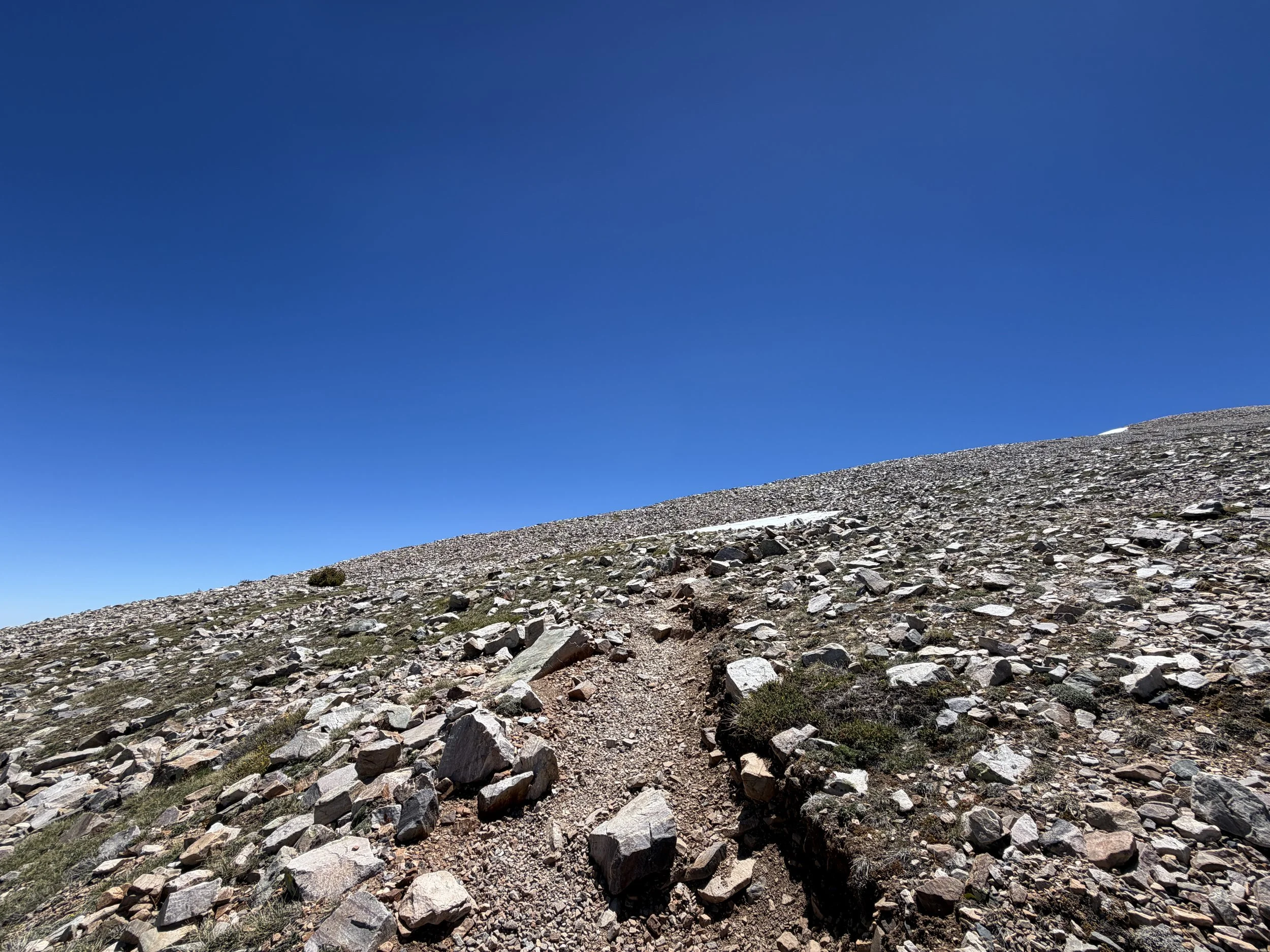 Wheeler Peak Summit Trail Great Basin National Park Nevada