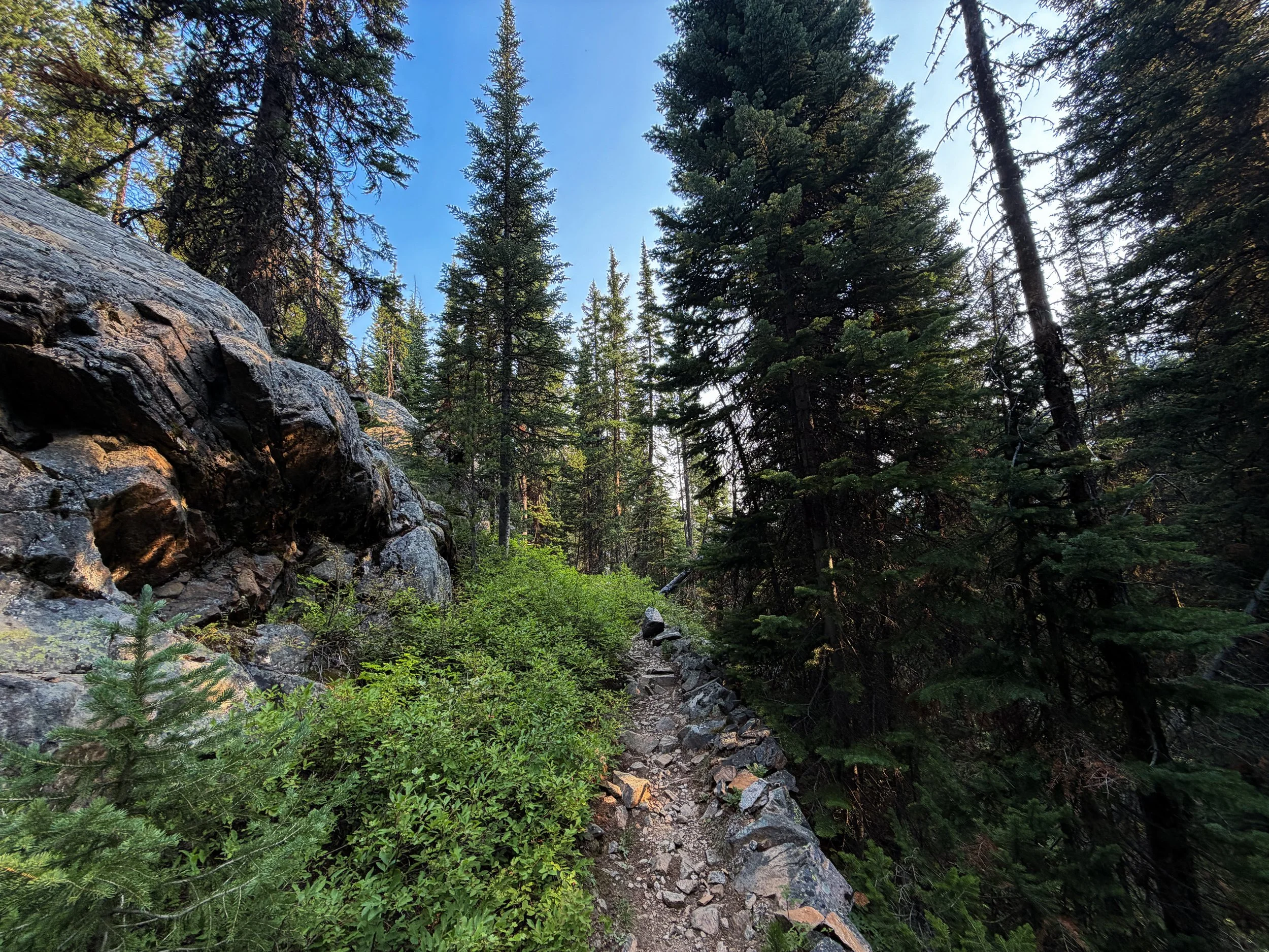 Beaten Path Trail Beartooth Mountains Montana