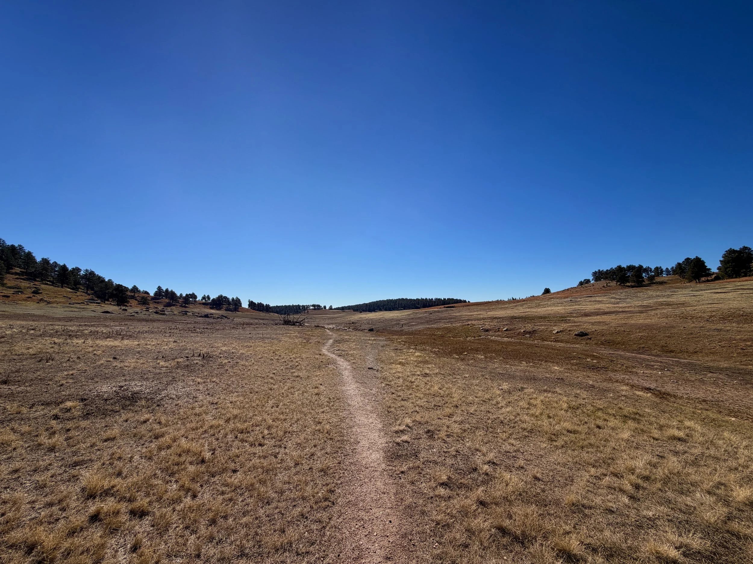 Sanctuary Trail to Highland Creek Trail Wind Cave National Park South Dakota