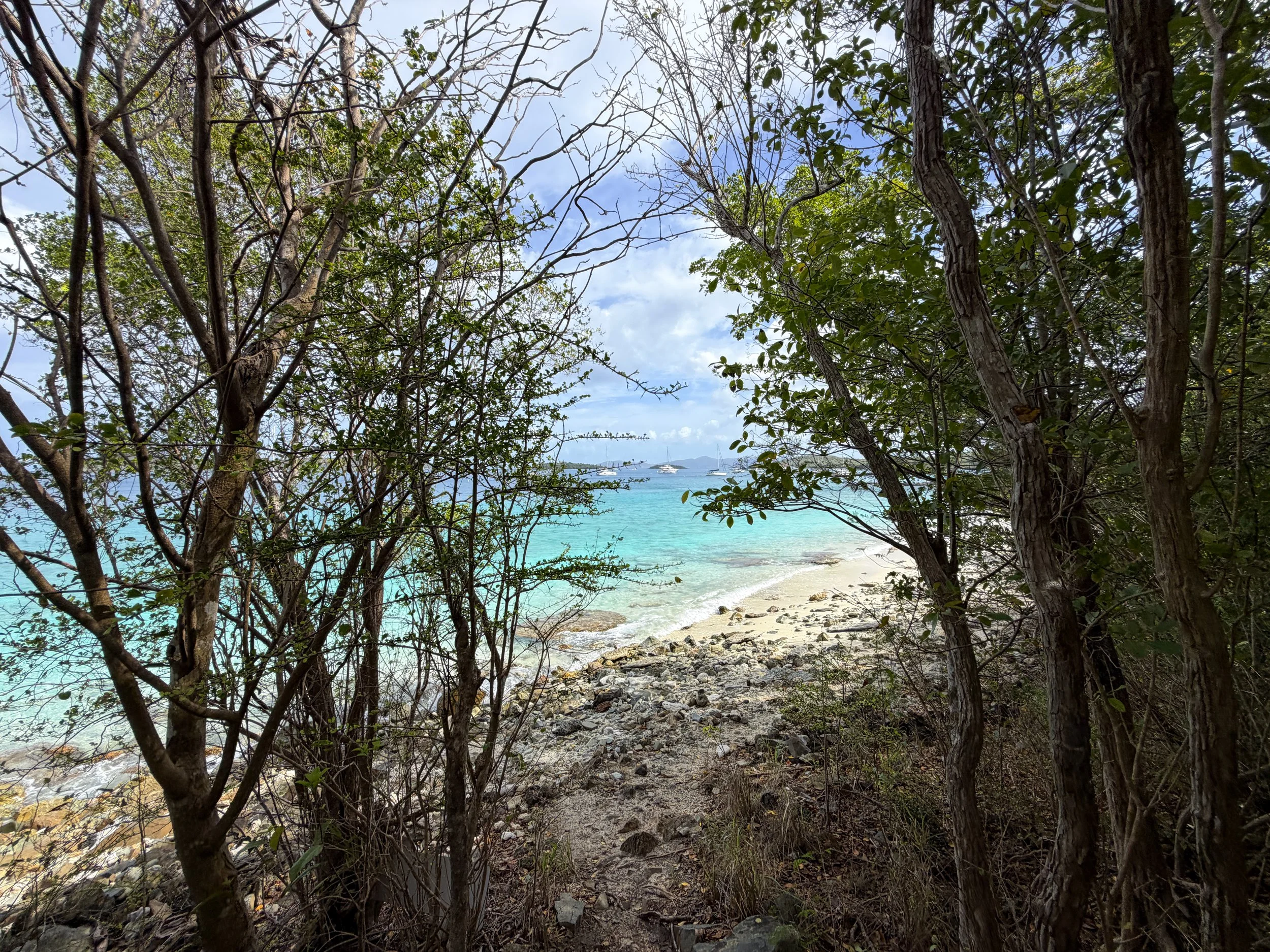 Salomon Beach Lind Point Trail Virgin Islands National Park