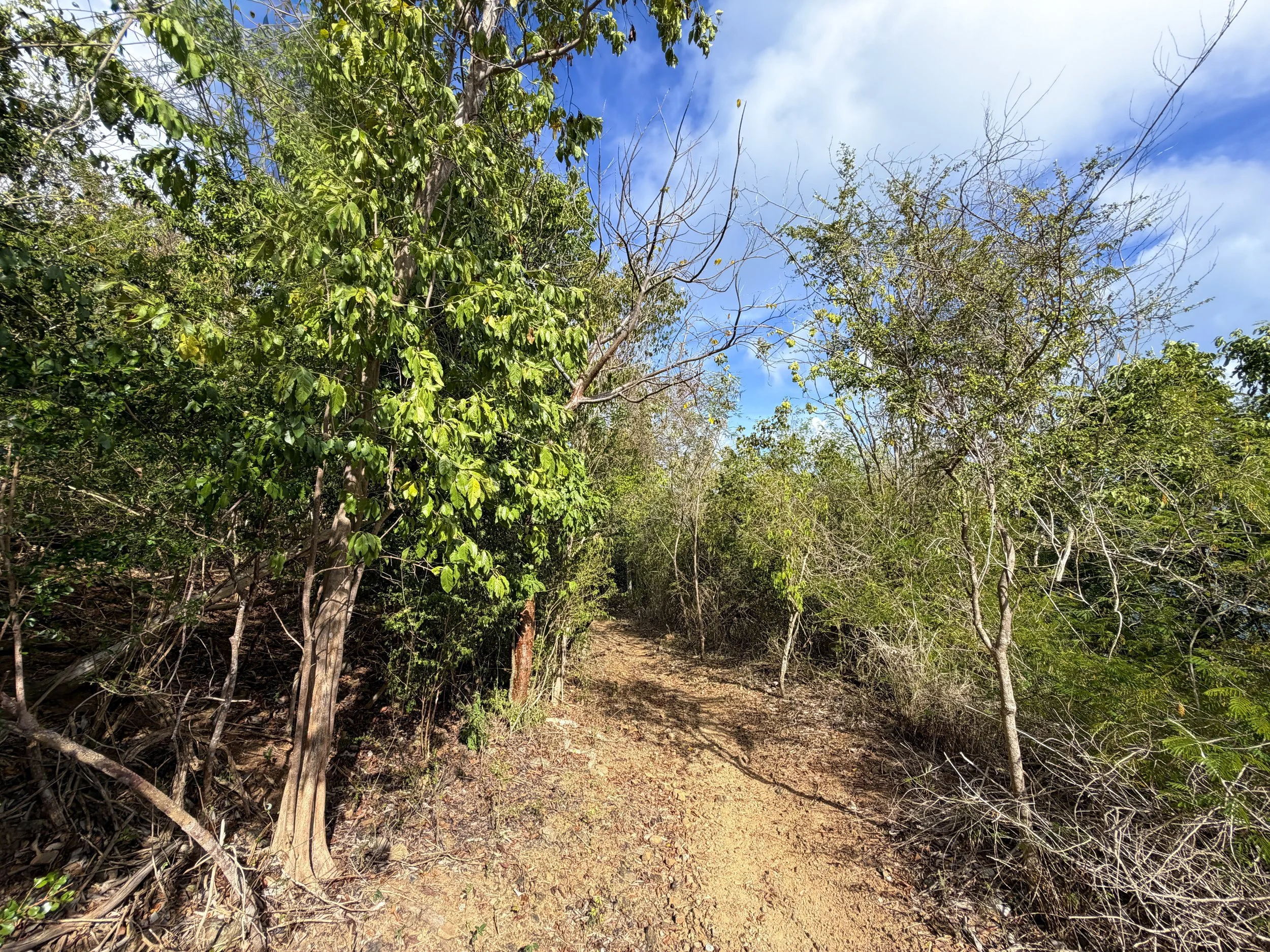 Brown Bay Hike Virgin Islands National Park
