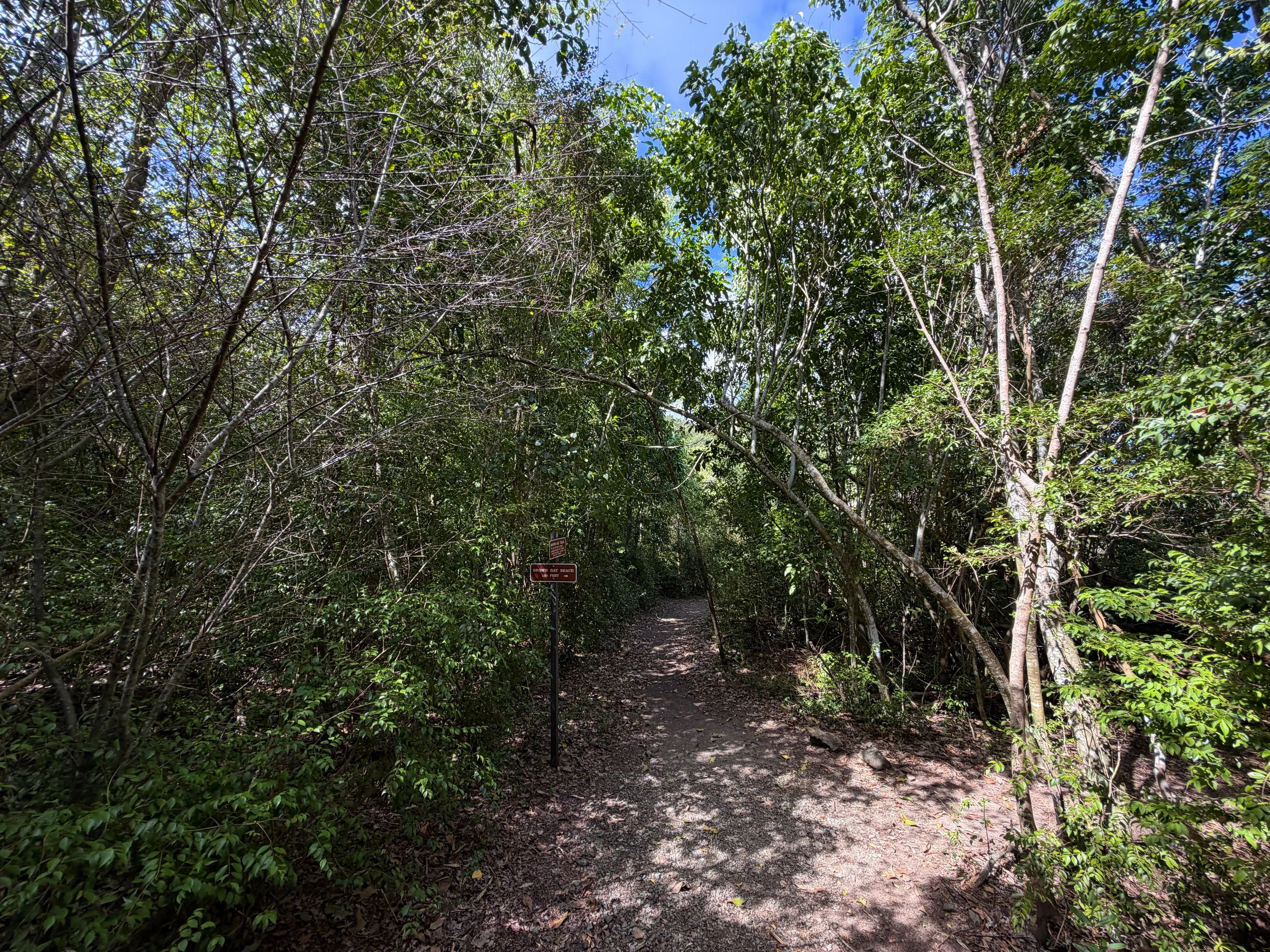 Brown Bay Trail Virgin Islands National Park