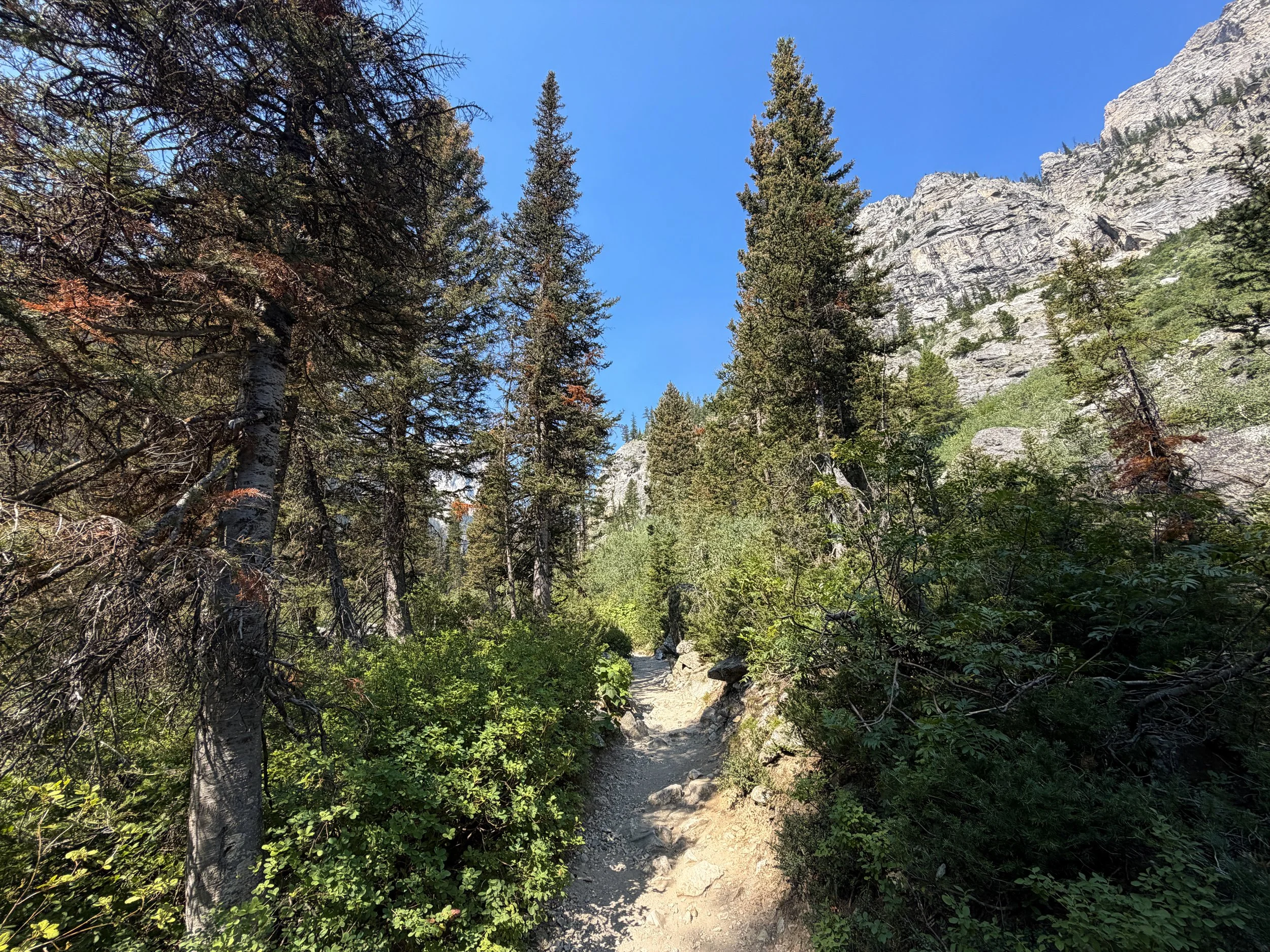Cascade Canyon Trail Grand Teton National Park Wyoming