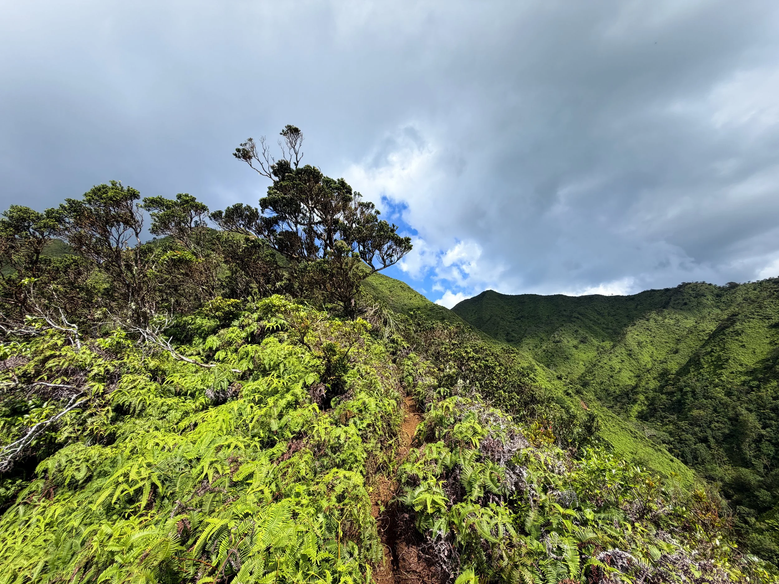 Kaau Crater Trail Oahu Hawaii