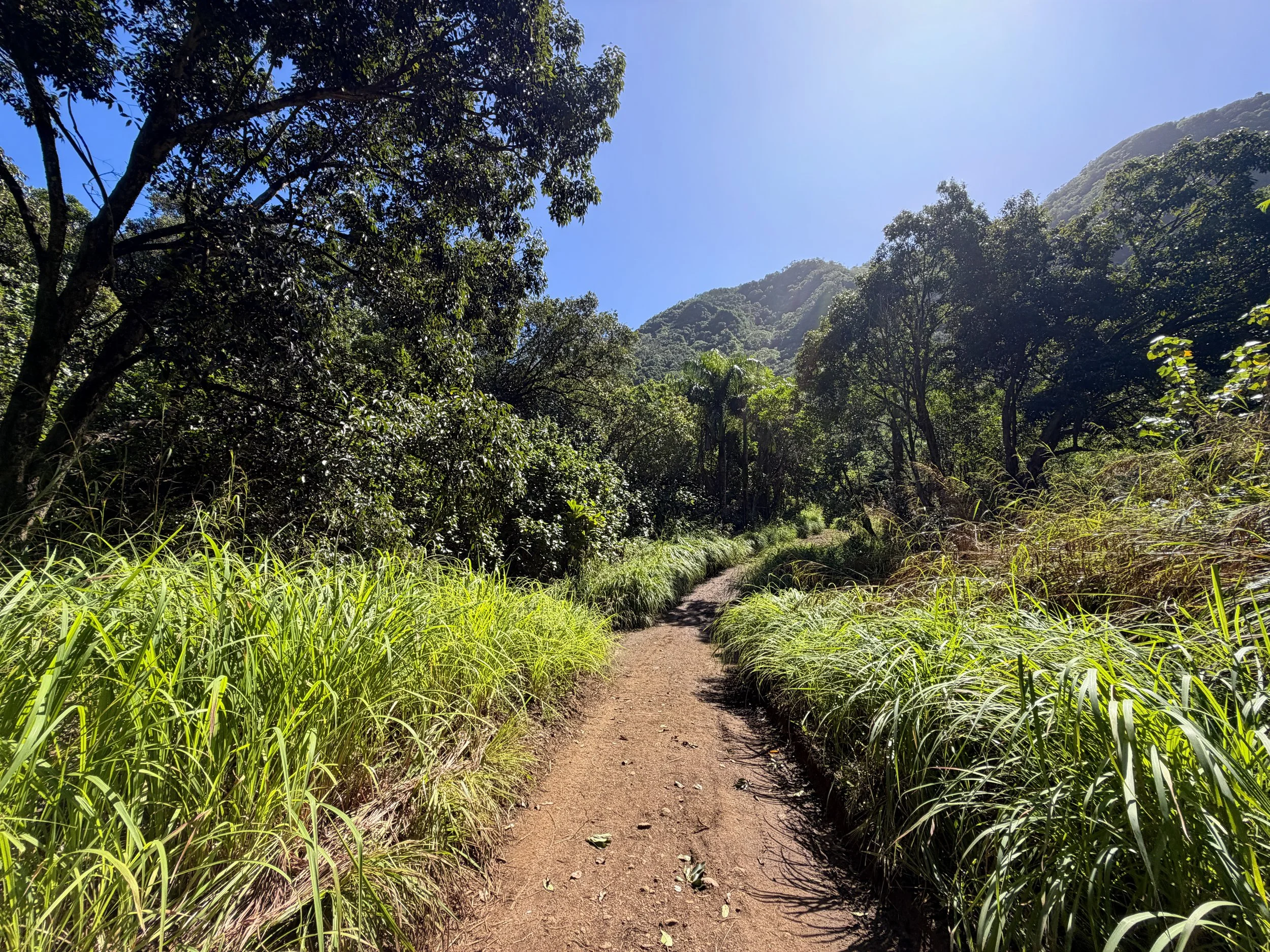 Tripler Ridge Trail via Kamananui Valley Road Oahu Hawaii