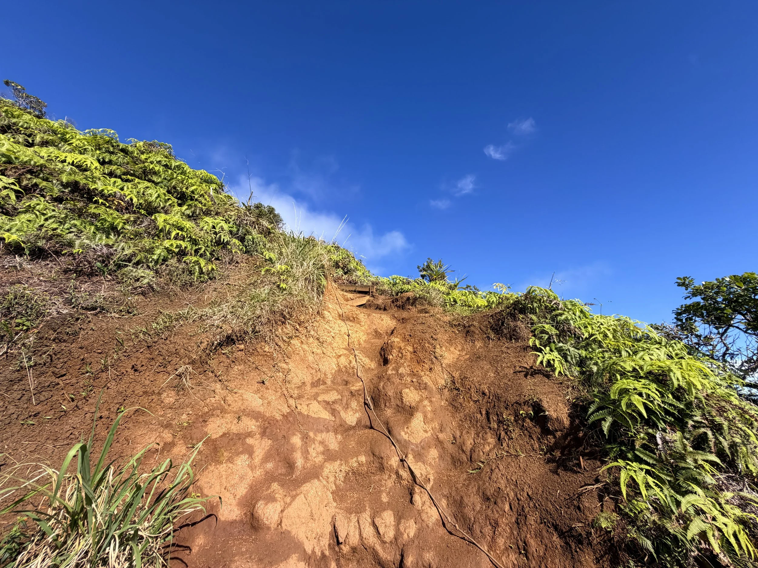 Wiliwilinui Ridge Hike Ropes Oahu Hawaii
