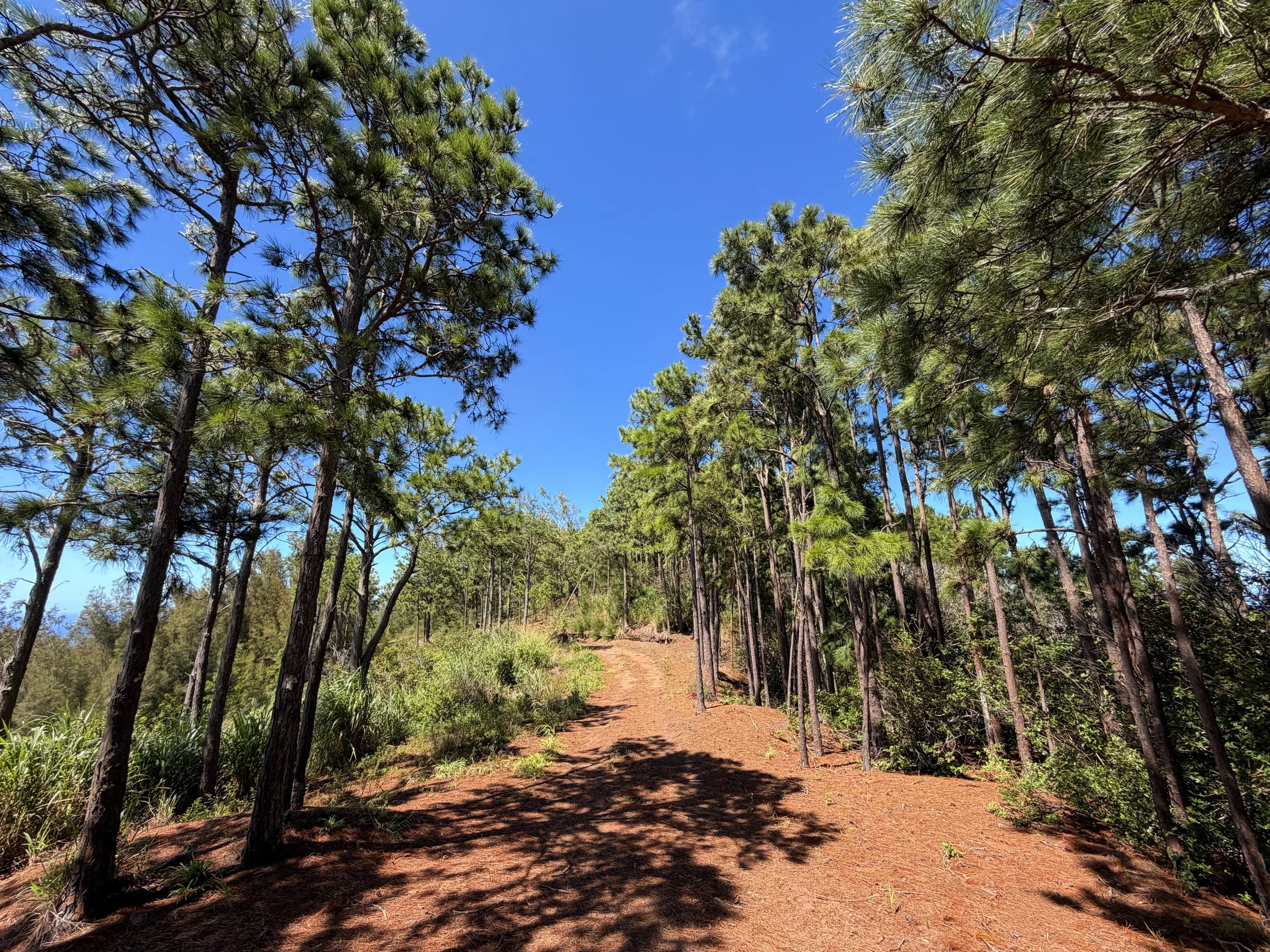 Kuaokala Trail Oahu Hawaii