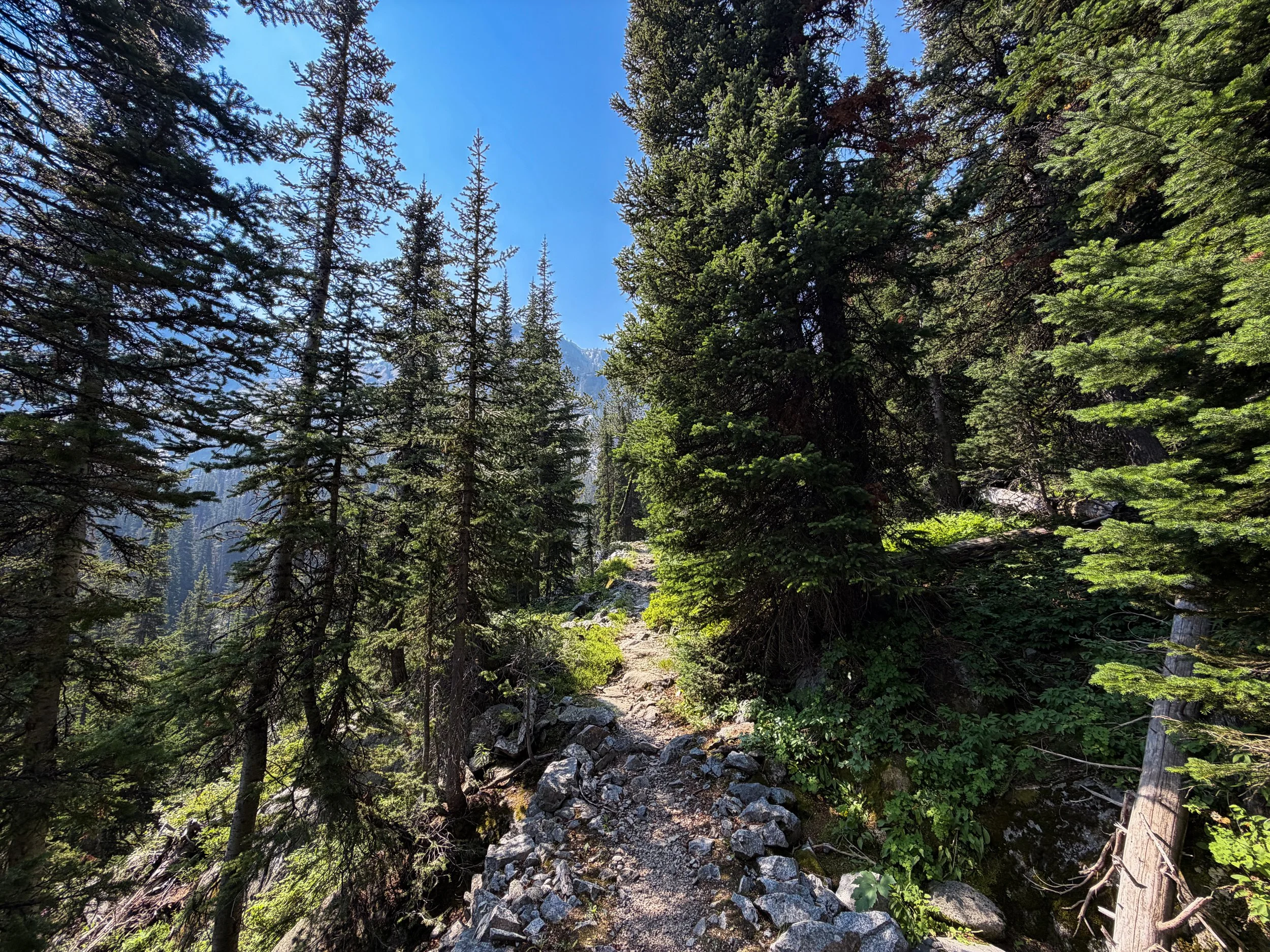 East Rosebud Trail The Beaten Path Beartooth Mountains Montana
