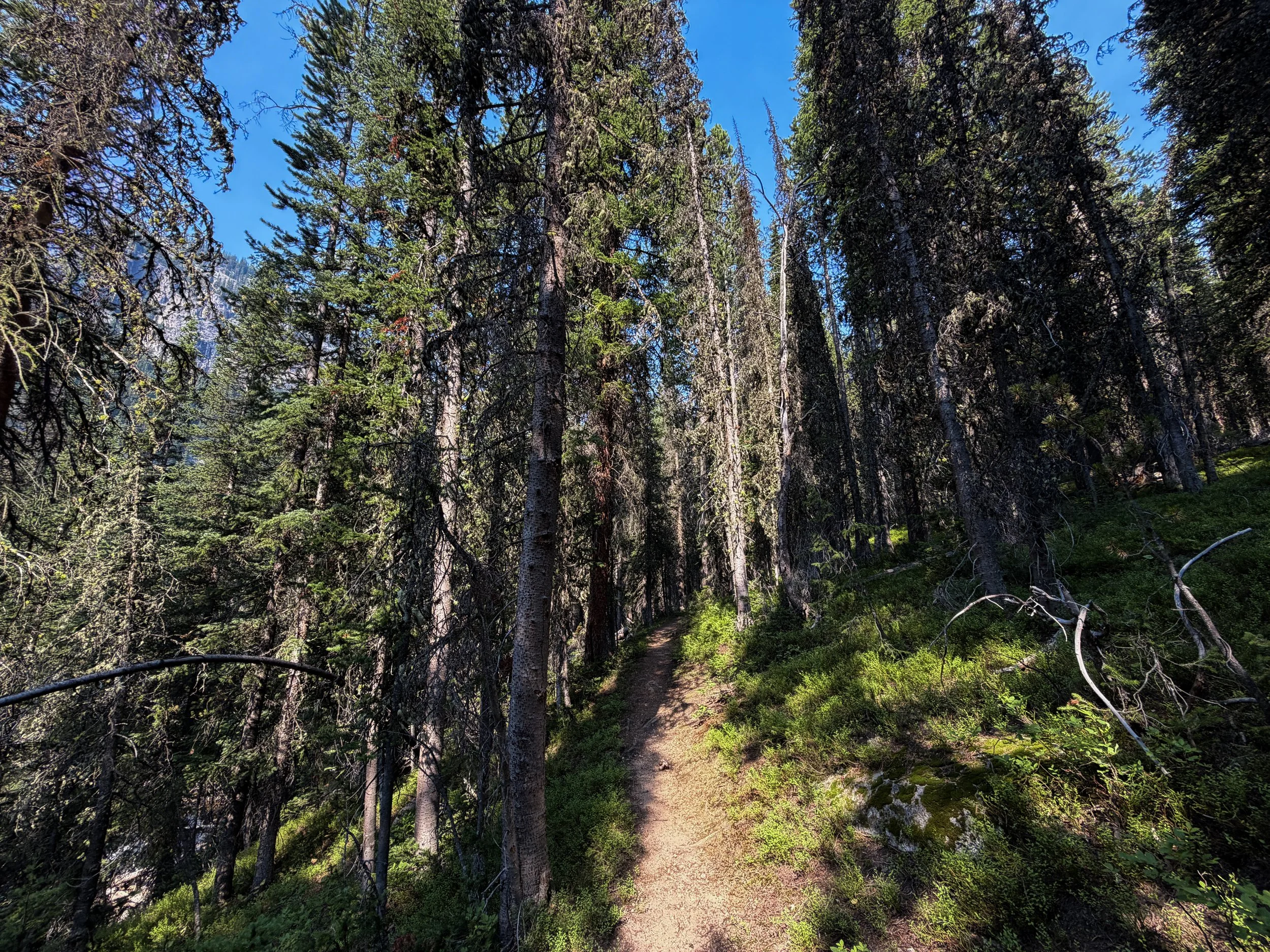 East Rosebud Trail The Beaten Path Beartooth Mountains Montana